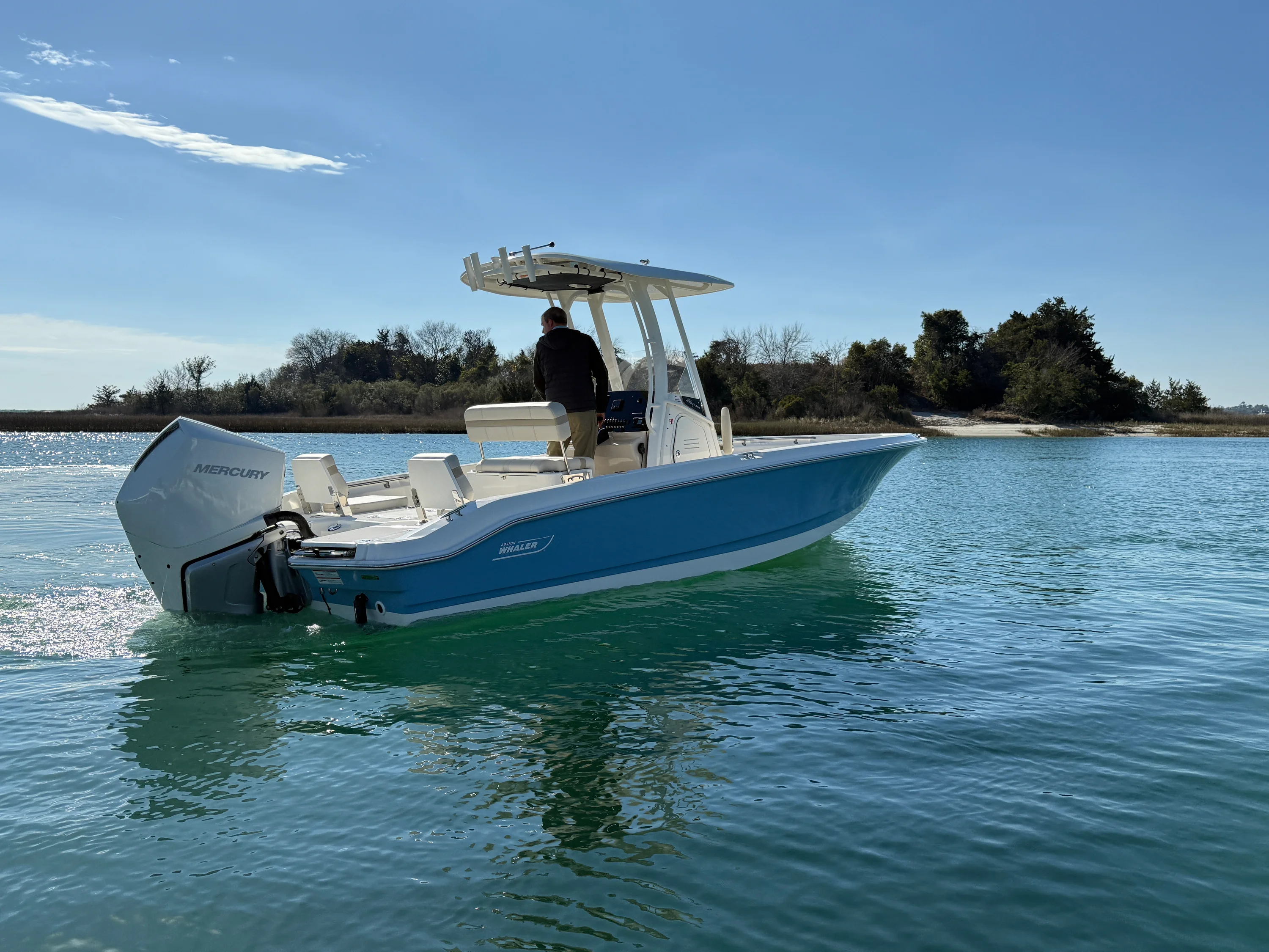 2026 Boston Whaler 250 Dauntless Image Thumbnail #1