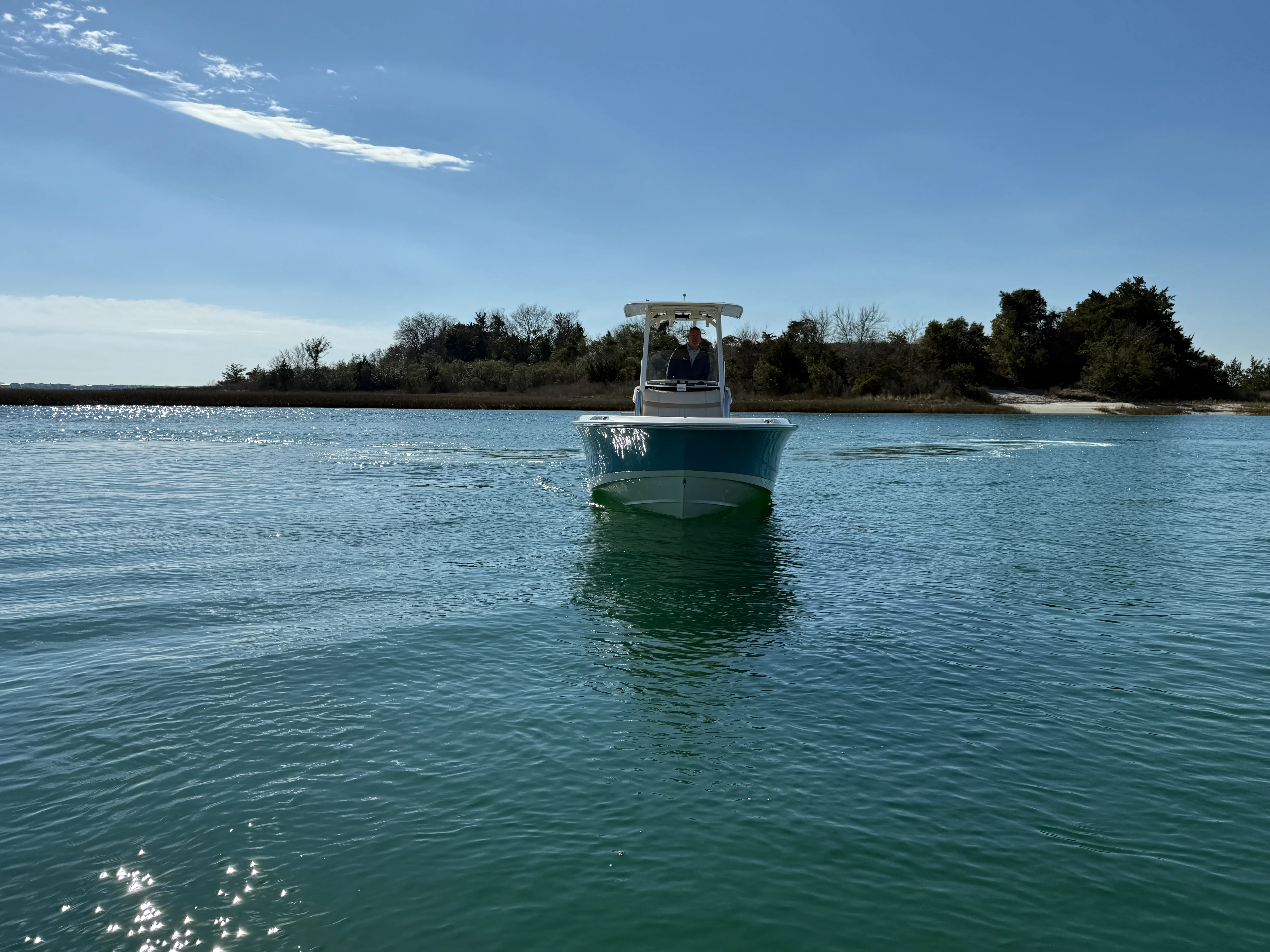 2026 Boston Whaler 250 Dauntless Image Thumbnail #4