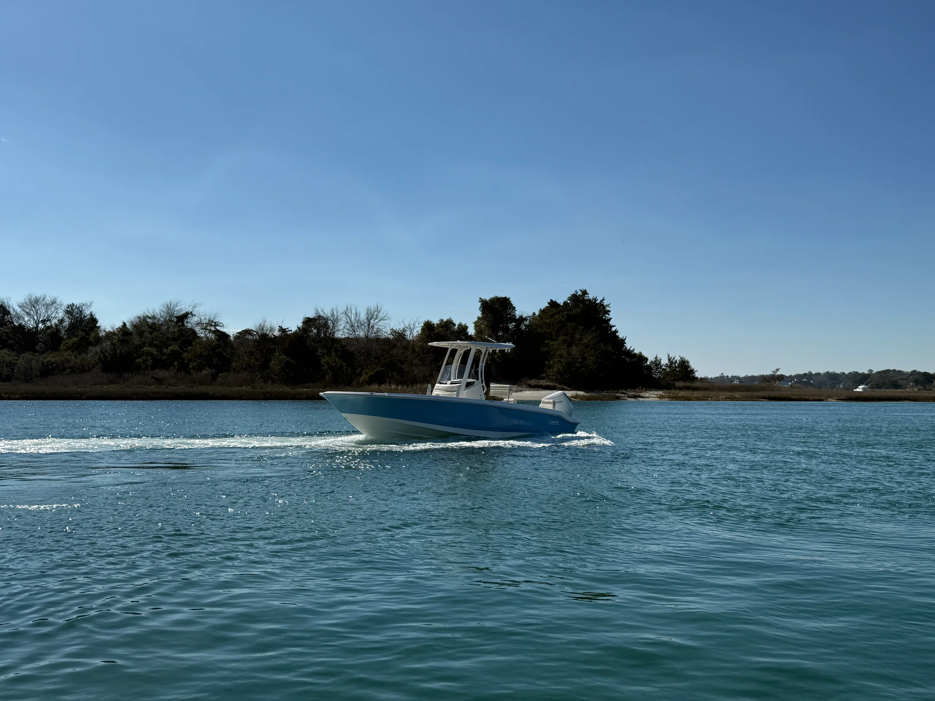 2026 Boston Whaler 250 Dauntless Image Thumbnail #3