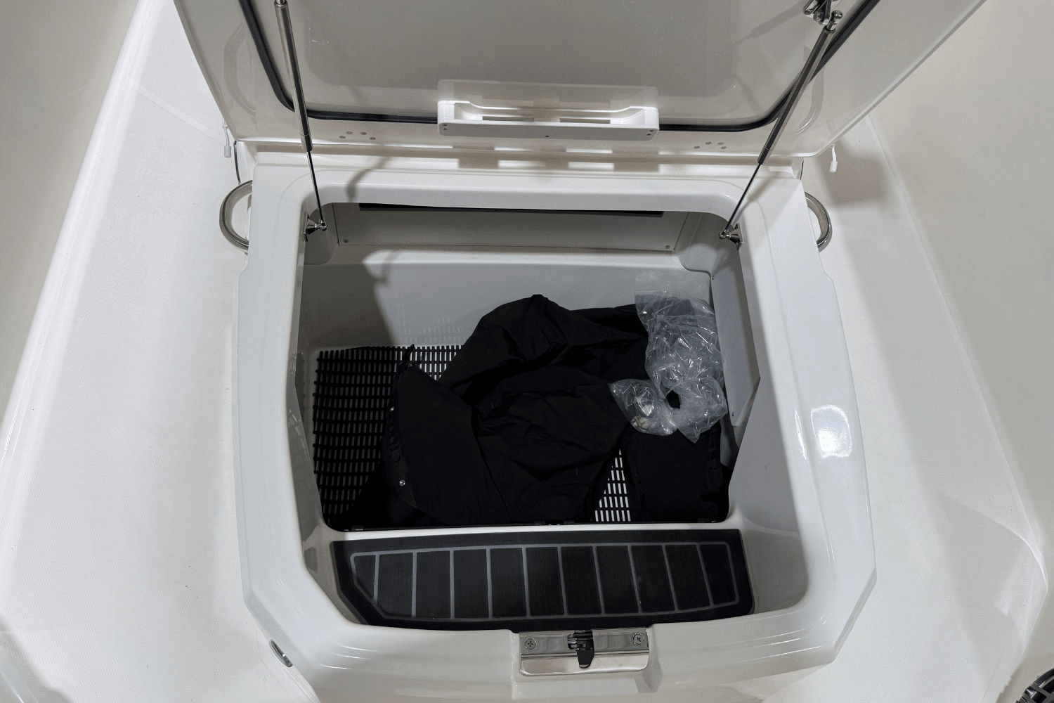 2026 Boston Whaler 250 Dauntless Image Thumbnail #18