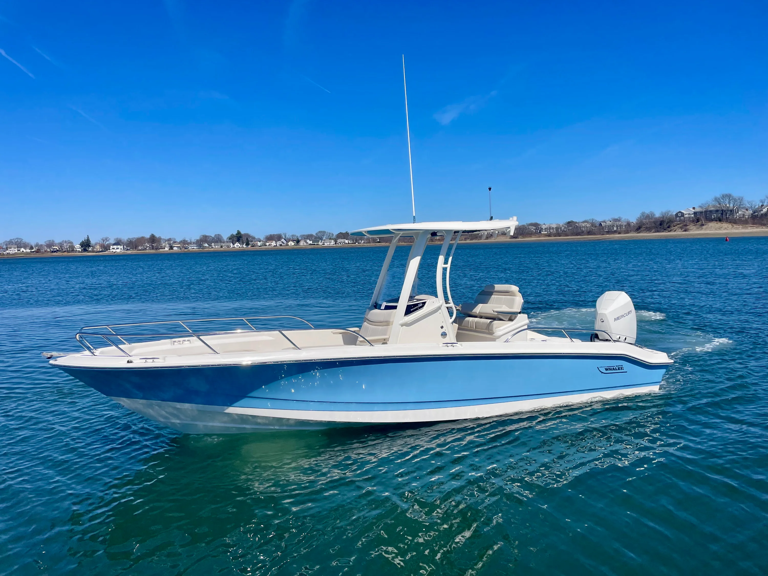 2026 Boston Whaler 250 Dauntless Image Thumbnail #0