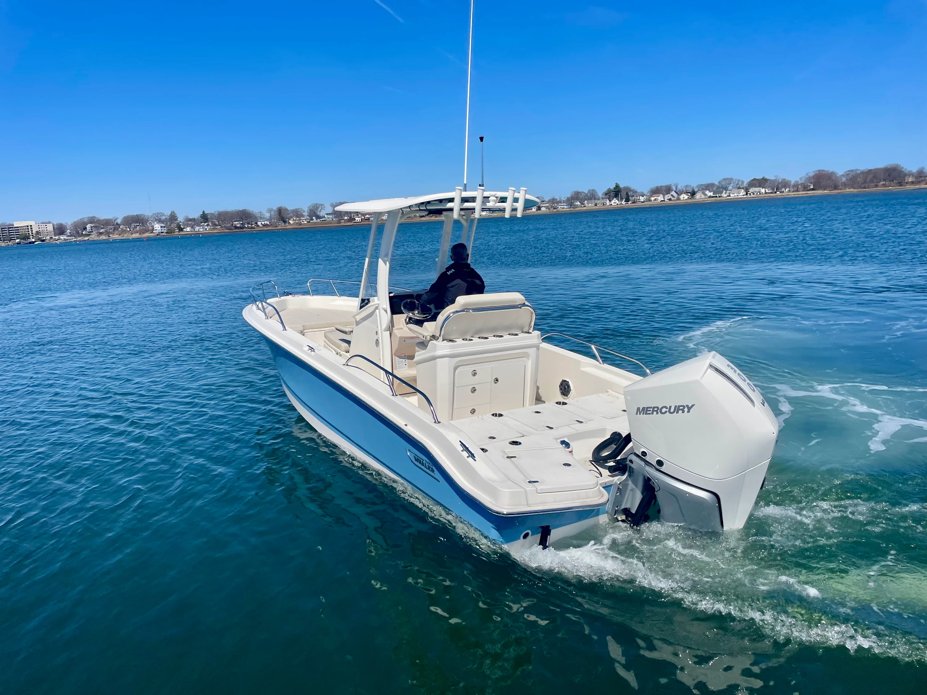 2026 Boston Whaler 250 Dauntless Image Thumbnail #2