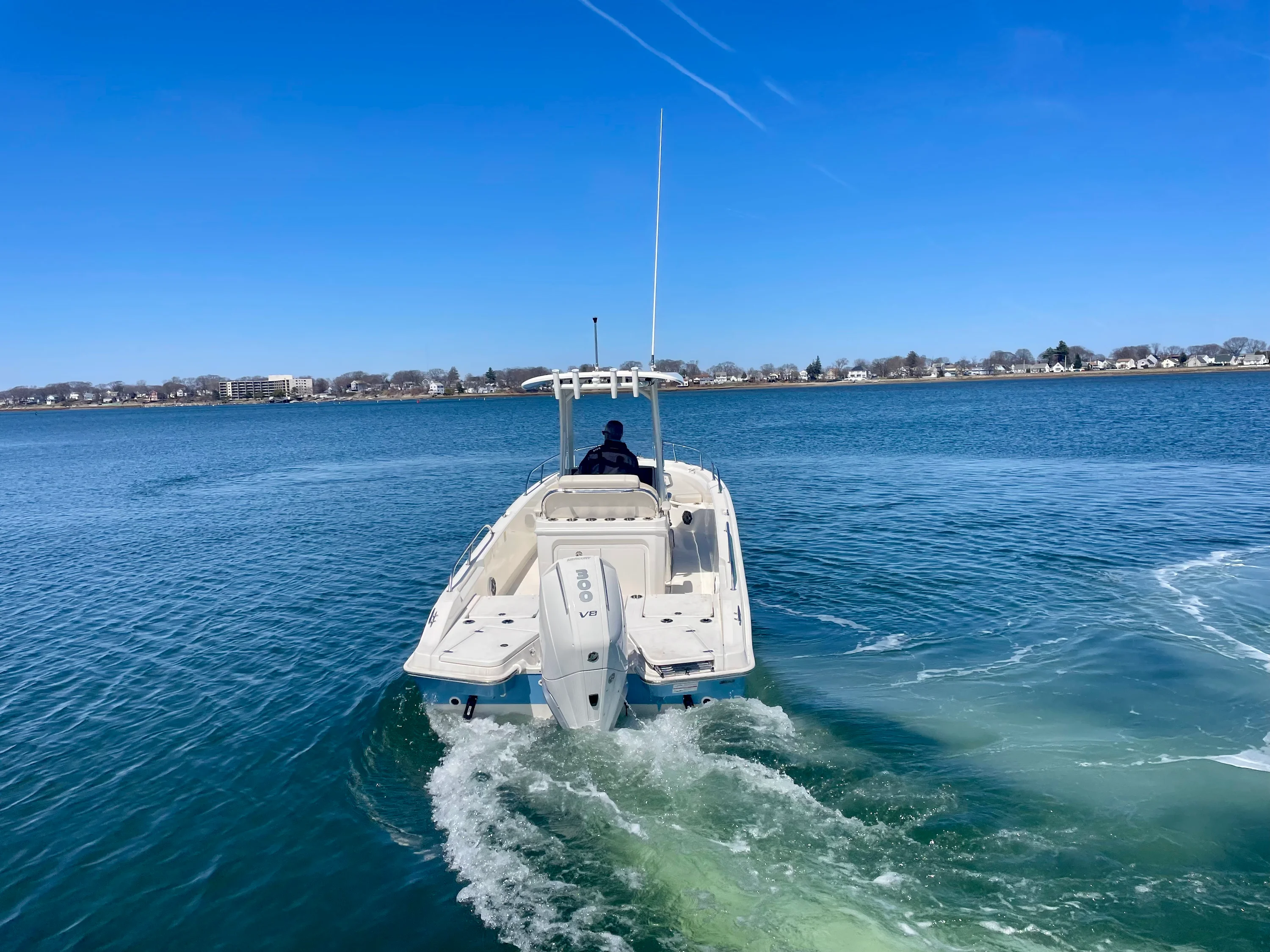 2026 Boston Whaler 250 Dauntless Image Thumbnail #3