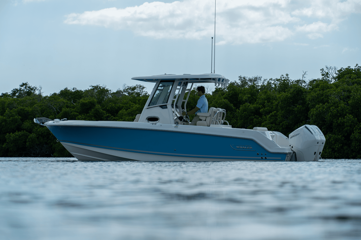2025 Boston Whaler 250 Outrage Image Thumbnail #24