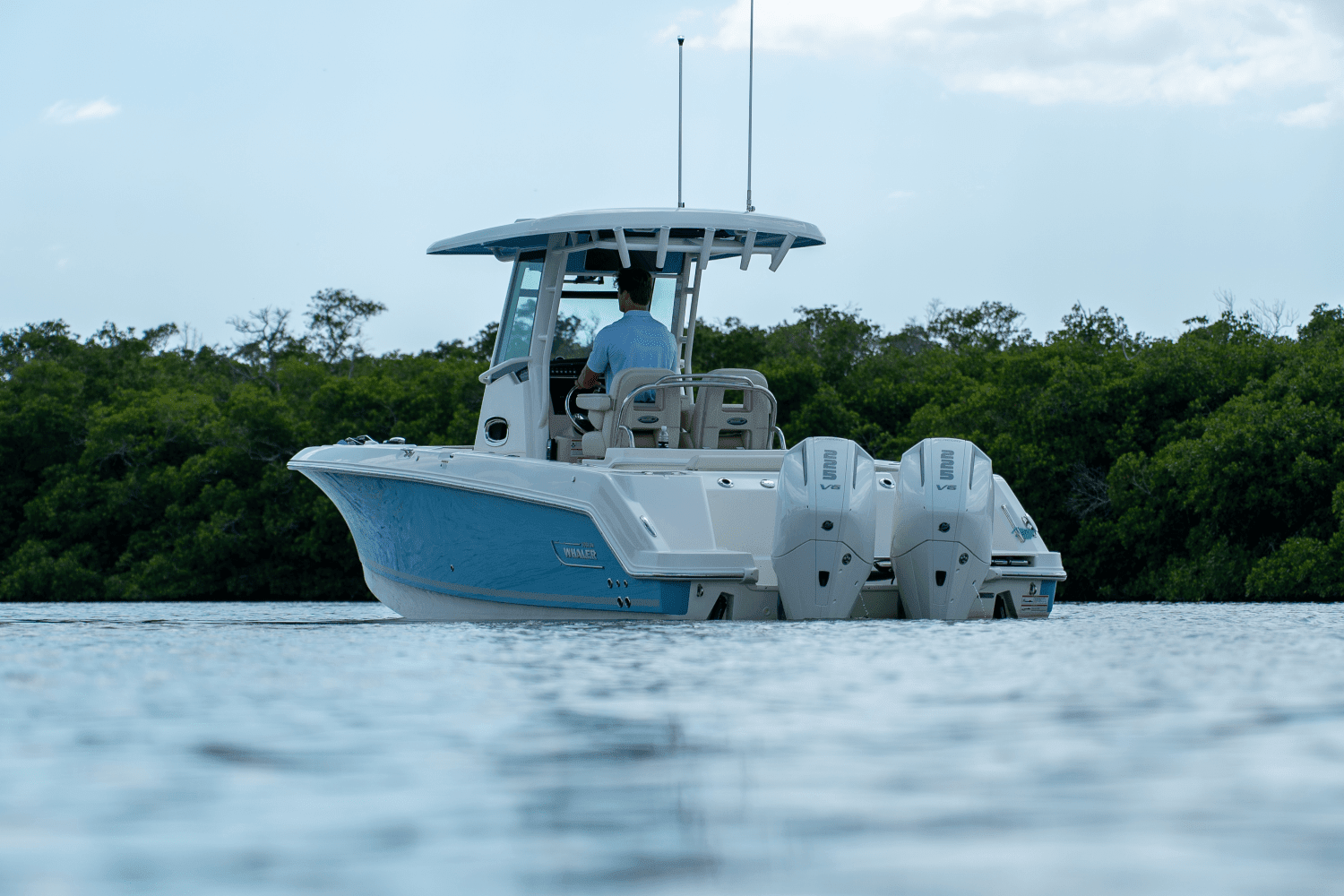 2025 Boston Whaler 250 Outrage Image Thumbnail #23