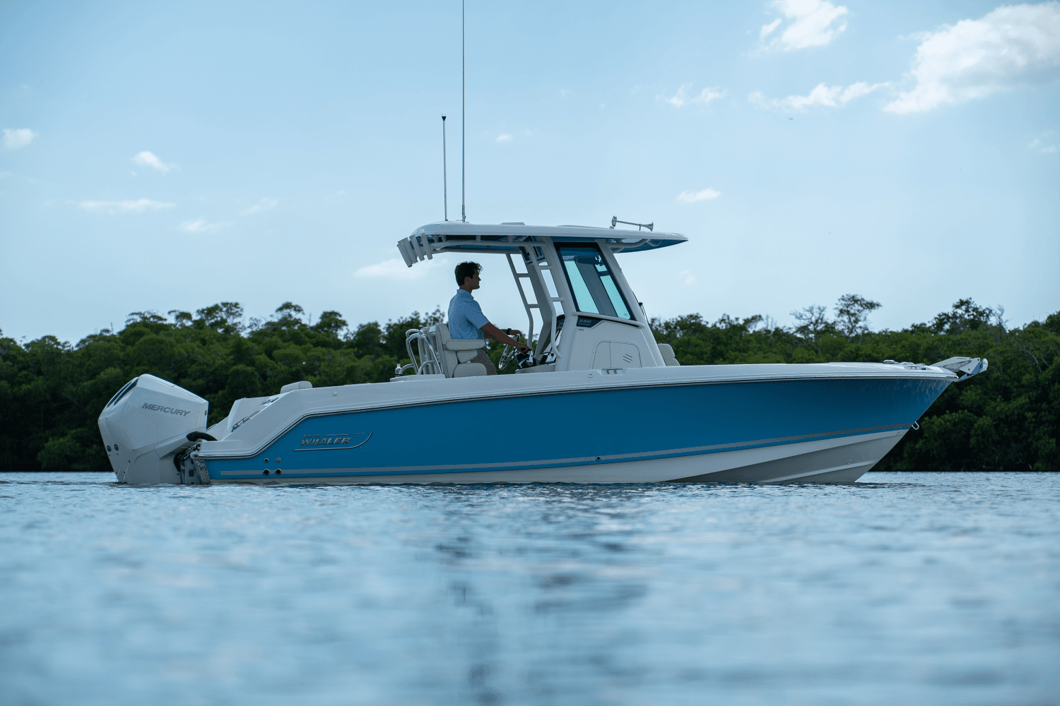 2025 Boston Whaler 250 Outrage Image Thumbnail #20