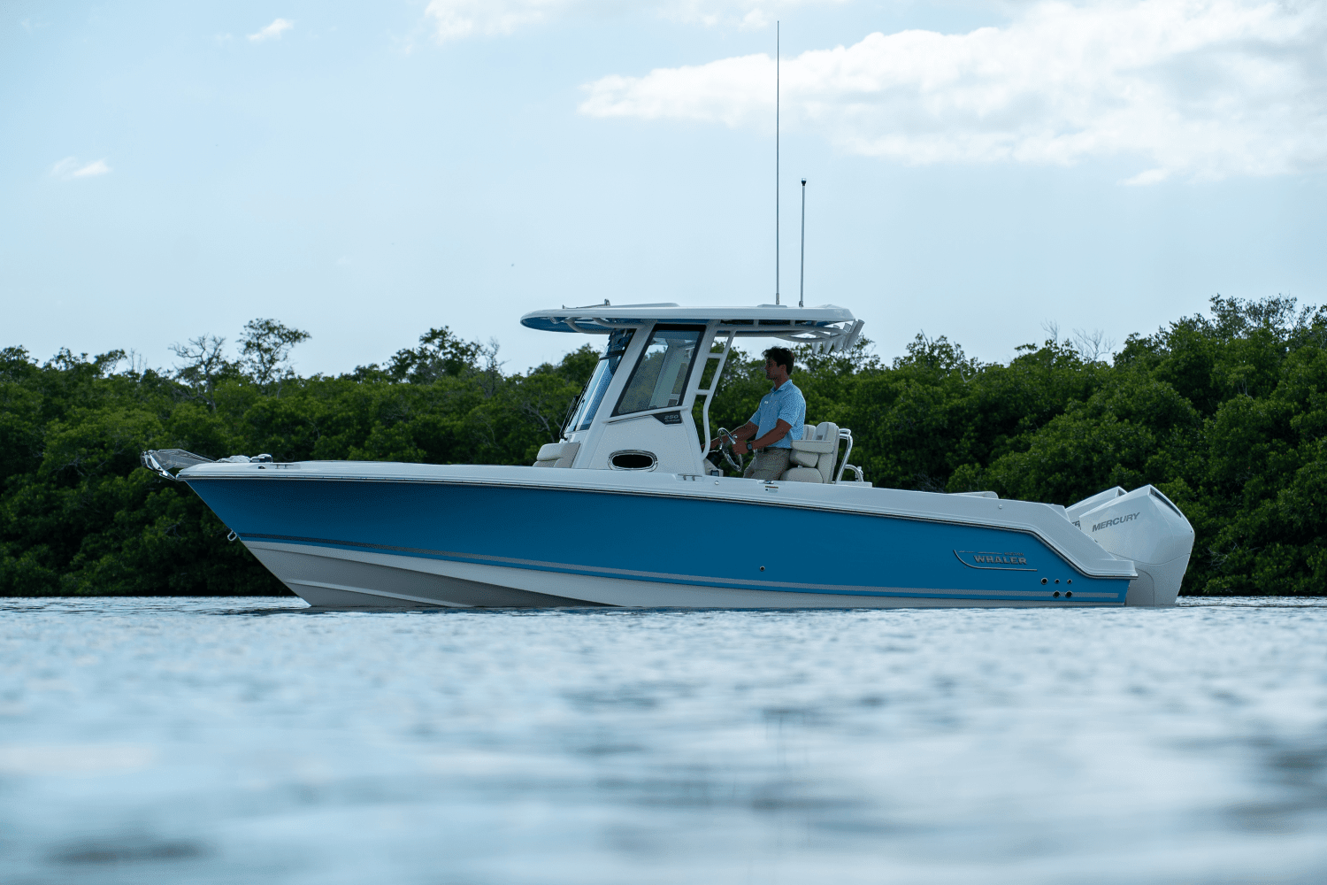 2025 Boston Whaler 250 Outrage Image Thumbnail #25