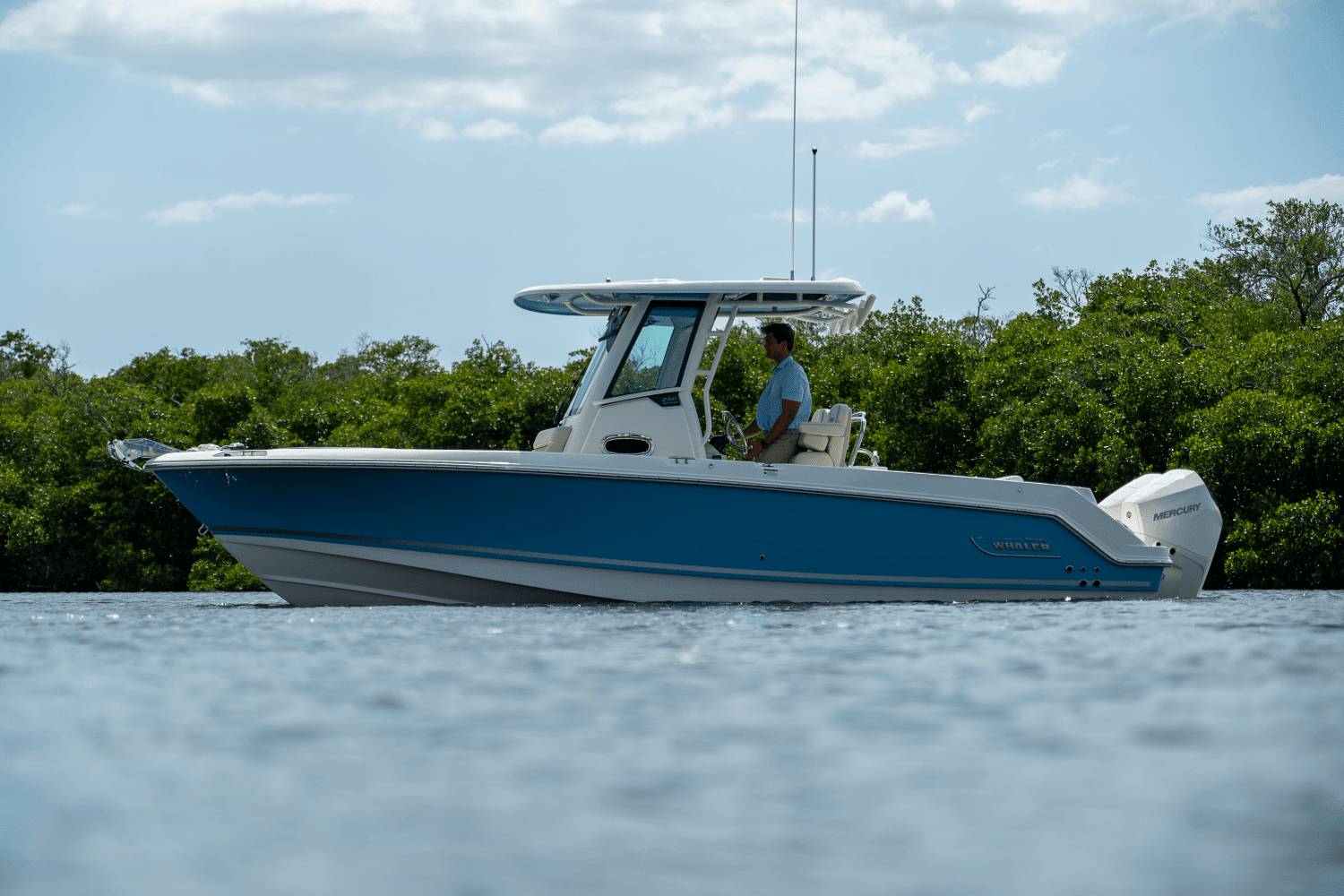 2025 Boston Whaler 250 Outrage Image Thumbnail #18