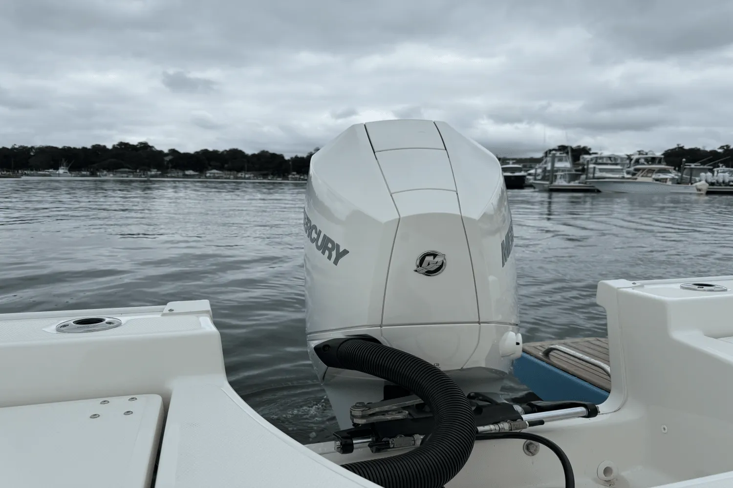 2025 Boston Whaler 210 Montauk Image Thumbnail #4
