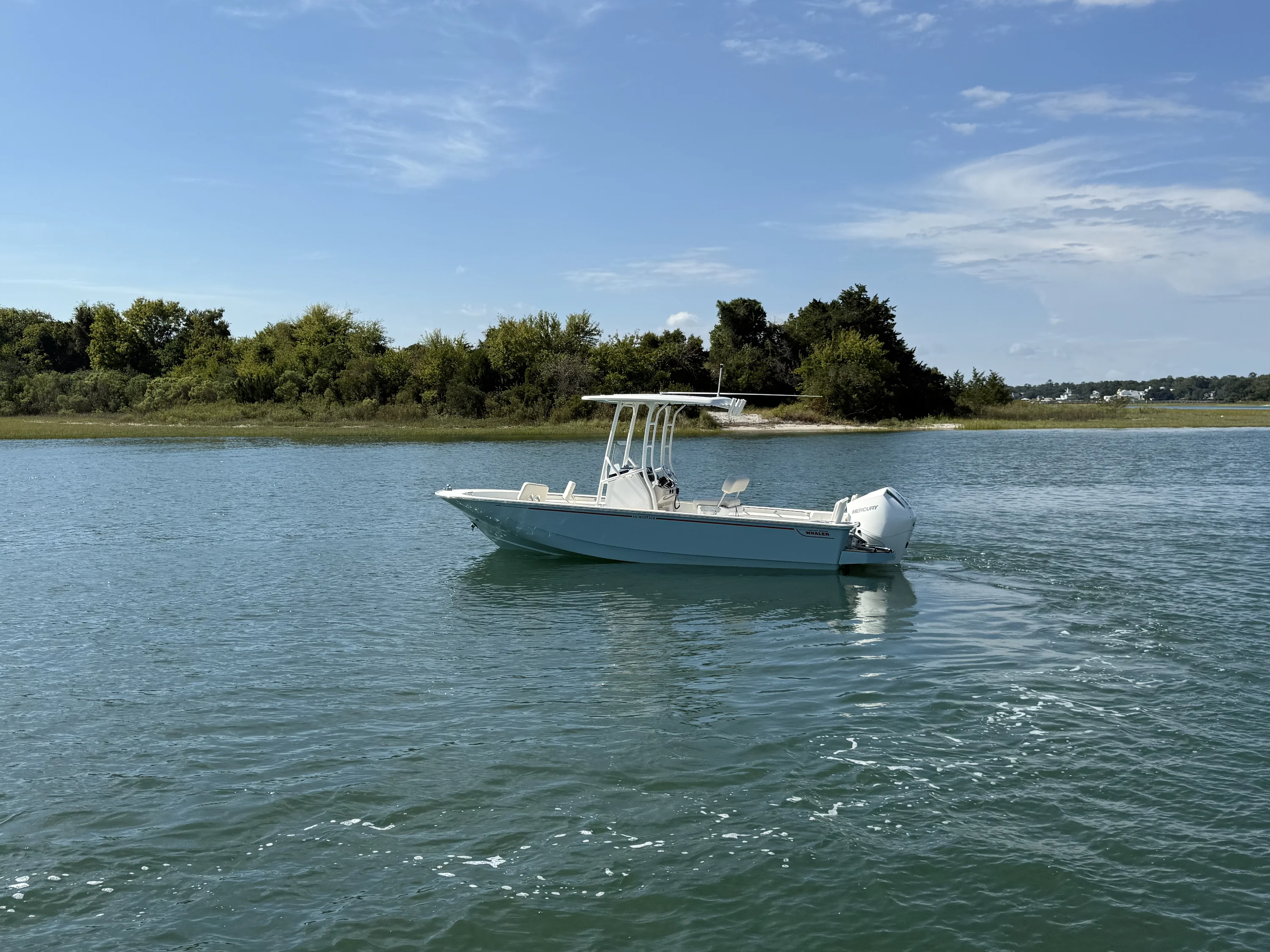2025 Boston Whaler 210 Montauk Image Thumbnail #3