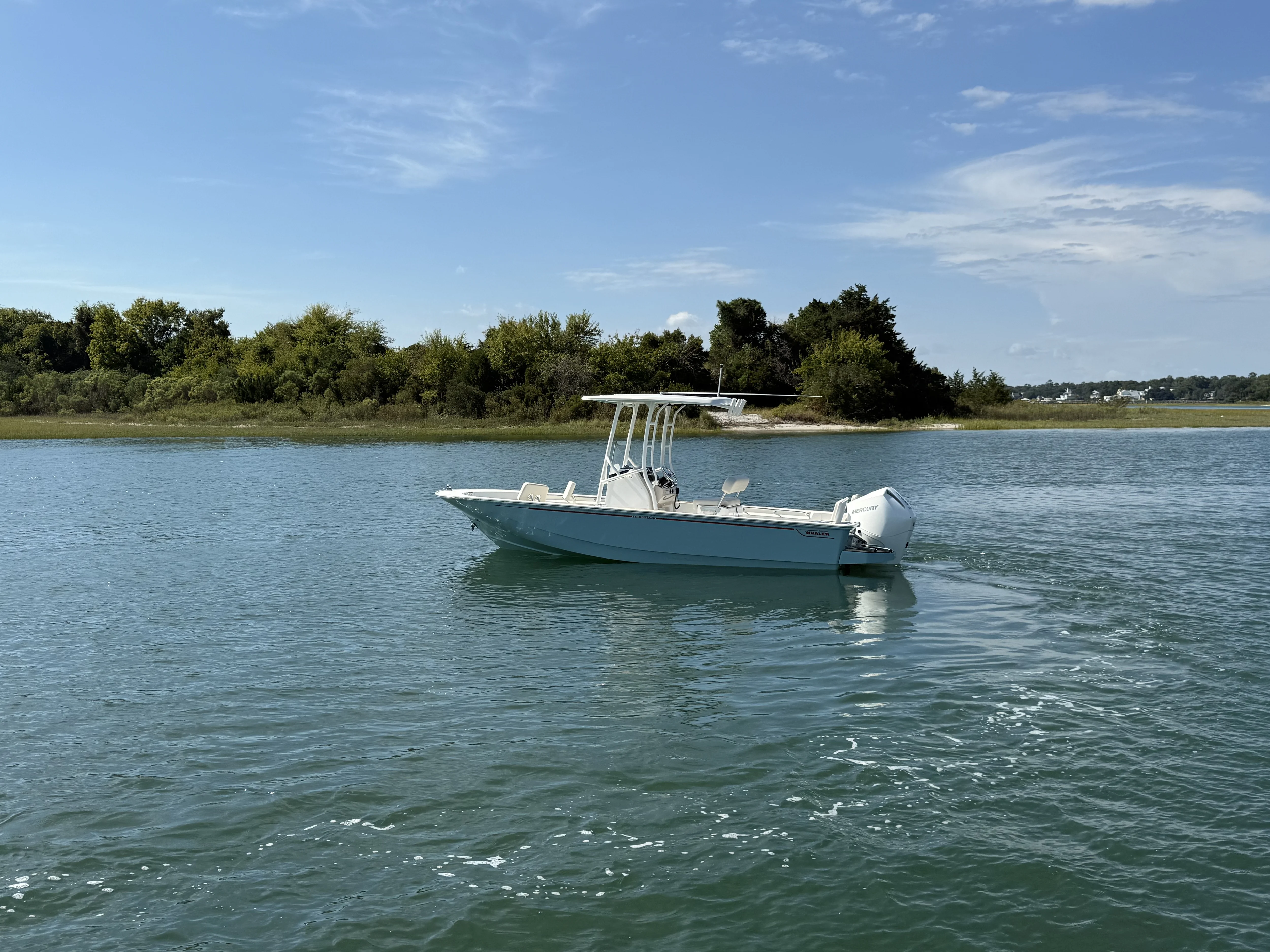 2025 Boston Whaler 210 Montauk Image Thumbnail #3