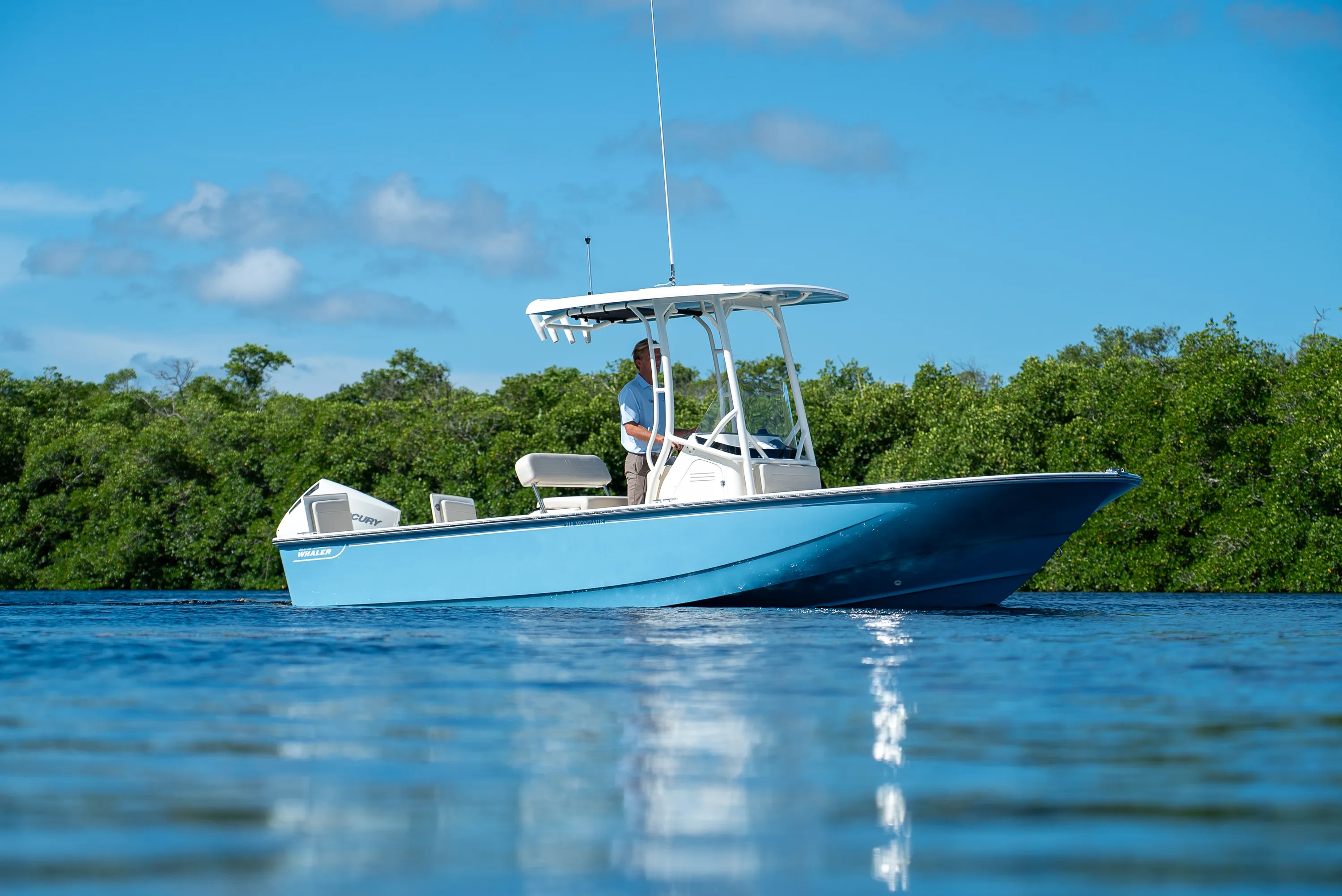 2026 Boston Whaler 210 Montauk Image Thumbnail #0