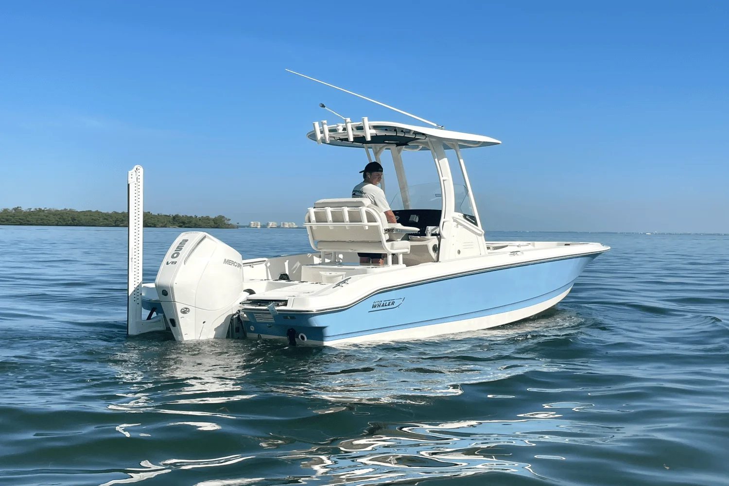 2026 Boston Whaler 220 Dauntless Image Thumbnail #4