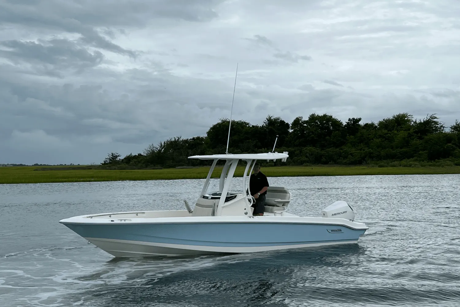2026 Boston Whaler 220 Dauntless Image Thumbnail #5