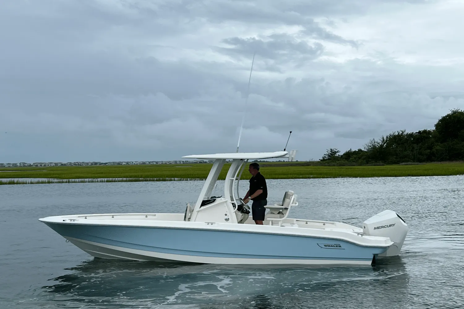 2026 Boston Whaler 220 Dauntless Image Thumbnail #7