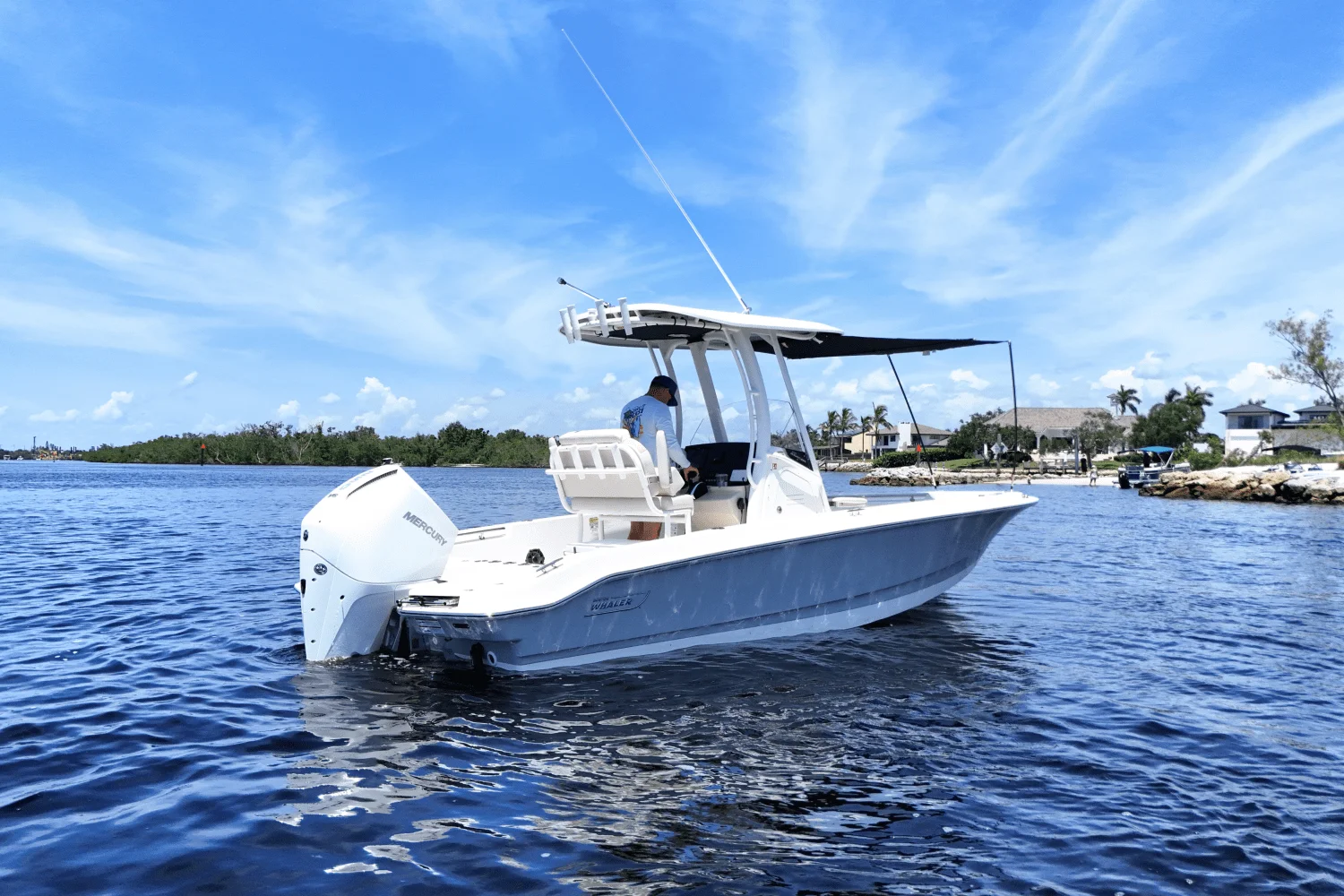 2026 Boston Whaler 220 Dauntless Image Thumbnail #3