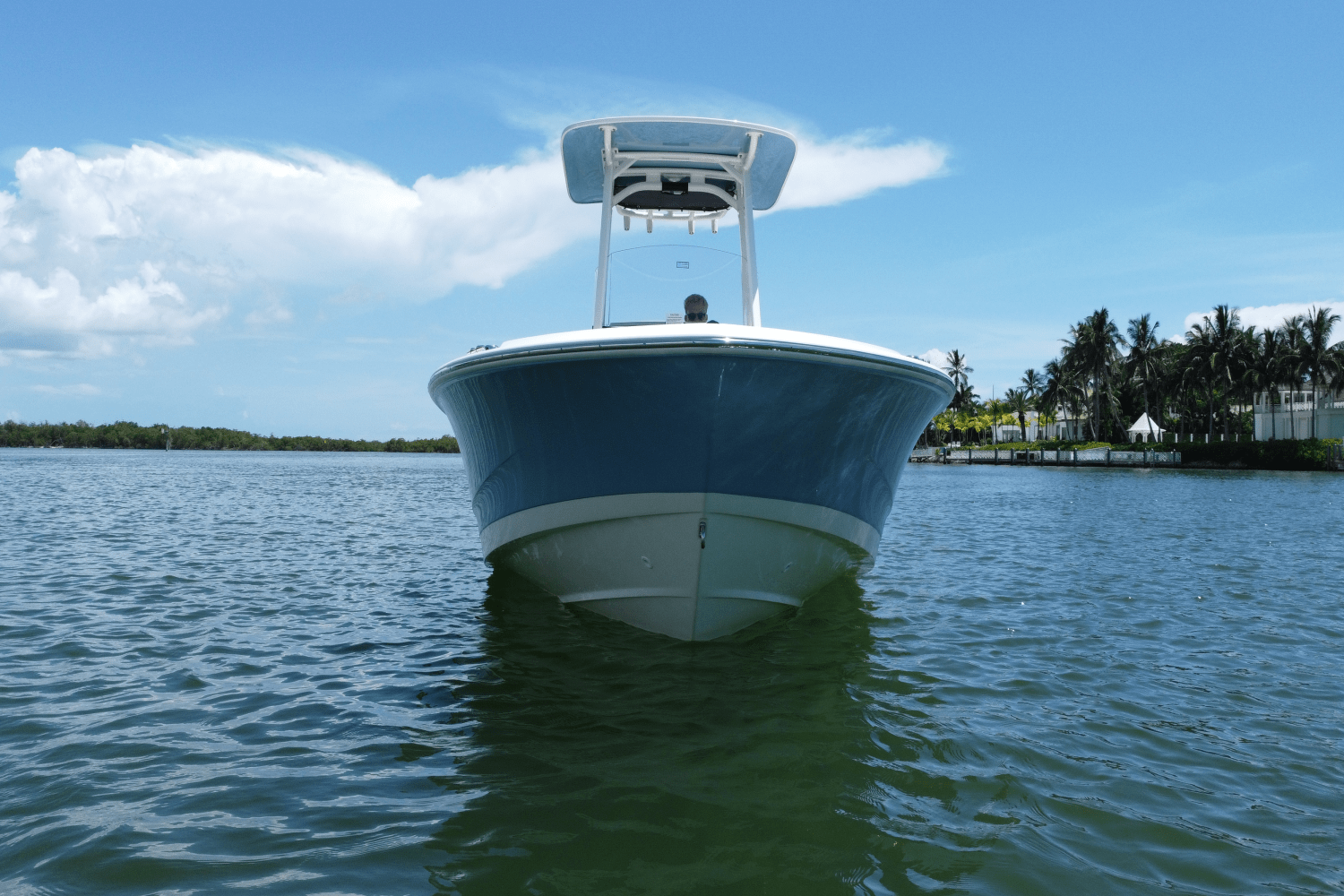 2026 Boston Whaler 220 Dauntless Image Thumbnail #4