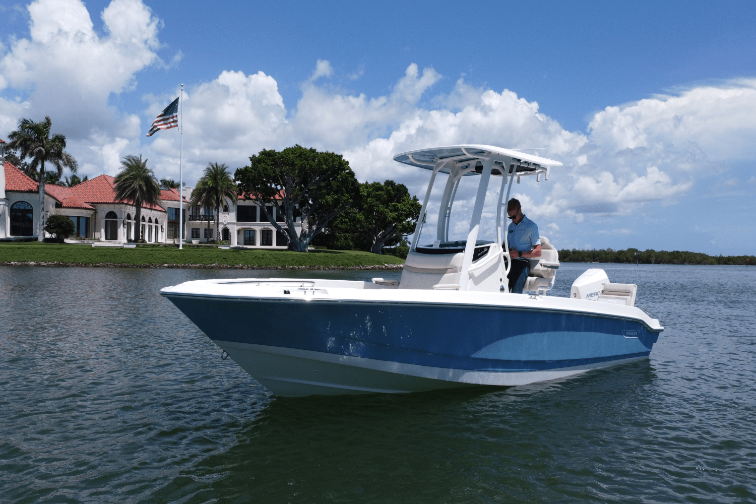 2026 Boston Whaler 220 Dauntless Image Thumbnail #5