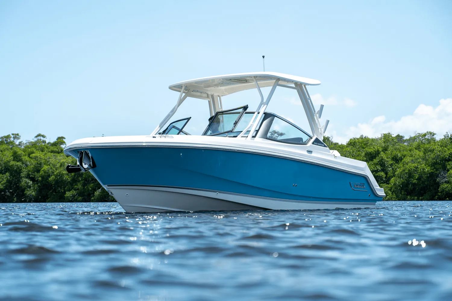 2025 Boston Whaler 240 Vantage Image Thumbnail #30