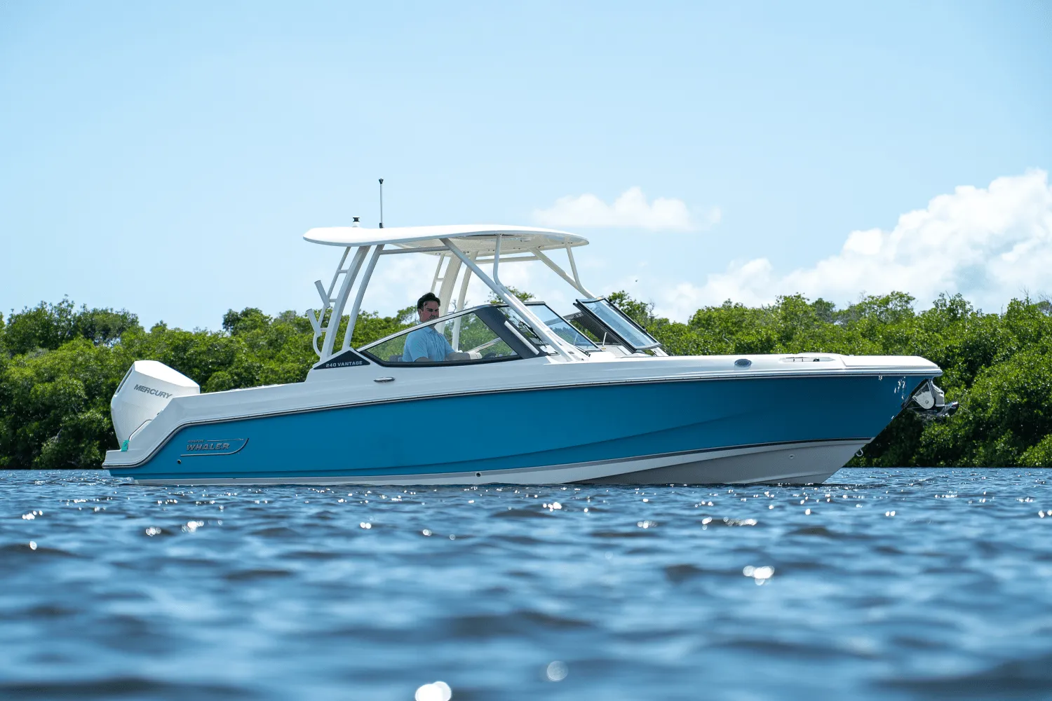 2025 Boston Whaler 240 Vantage Image Thumbnail #25