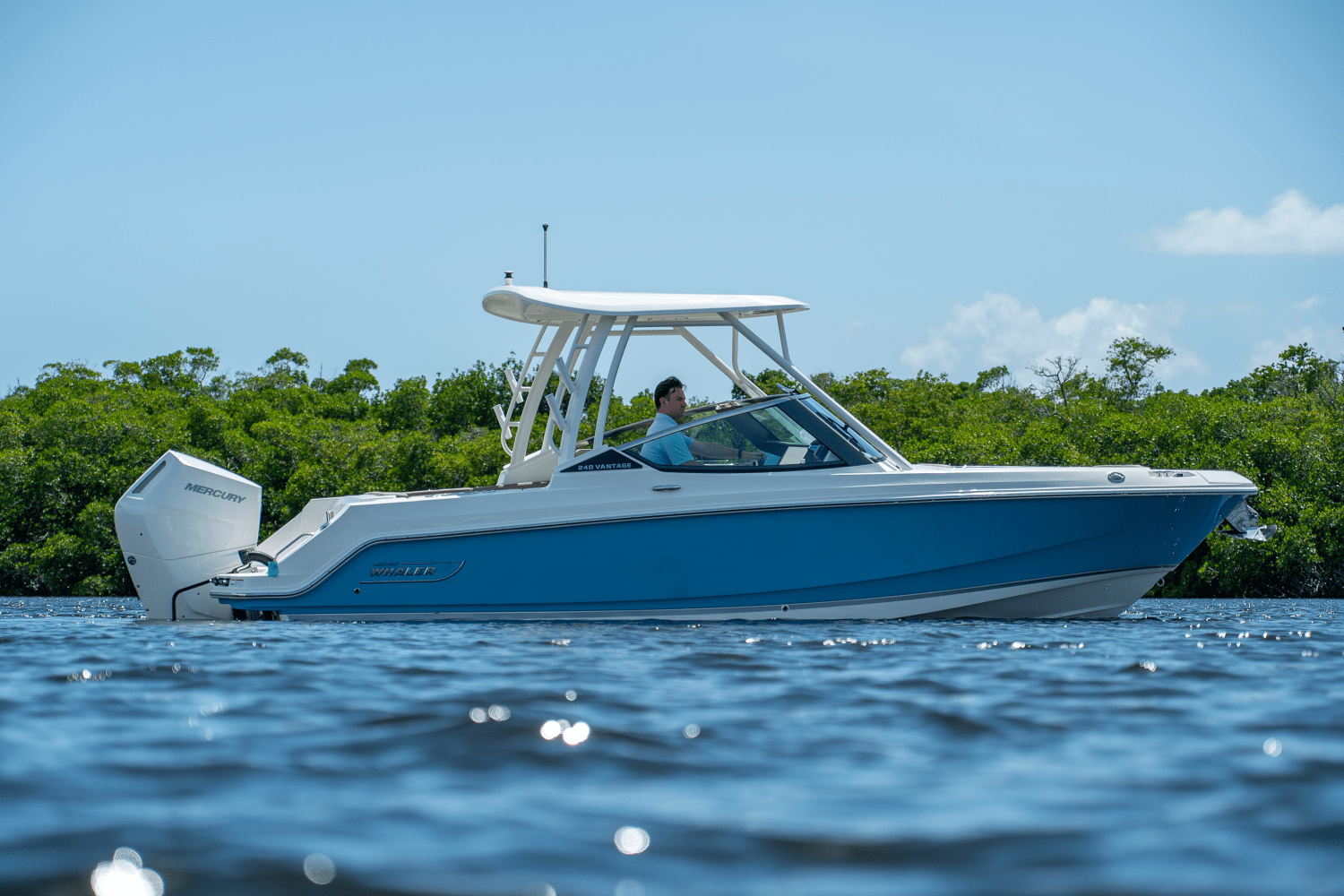 2025 Boston Whaler 240 Vantage Image Thumbnail #22