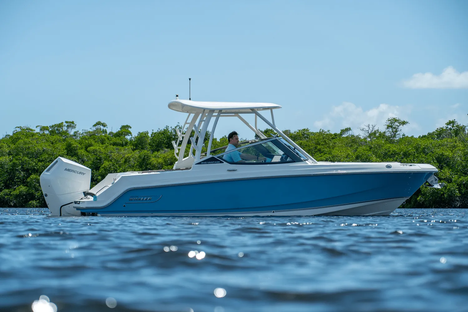 2025 Boston Whaler 240 Vantage Image Thumbnail #22