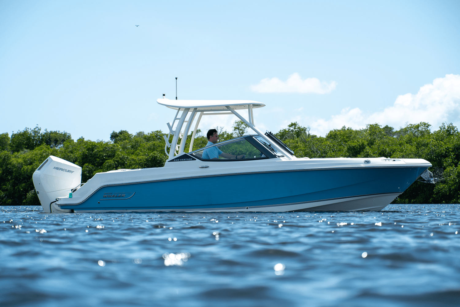 2025 Boston Whaler 240 Vantage Image Thumbnail #24