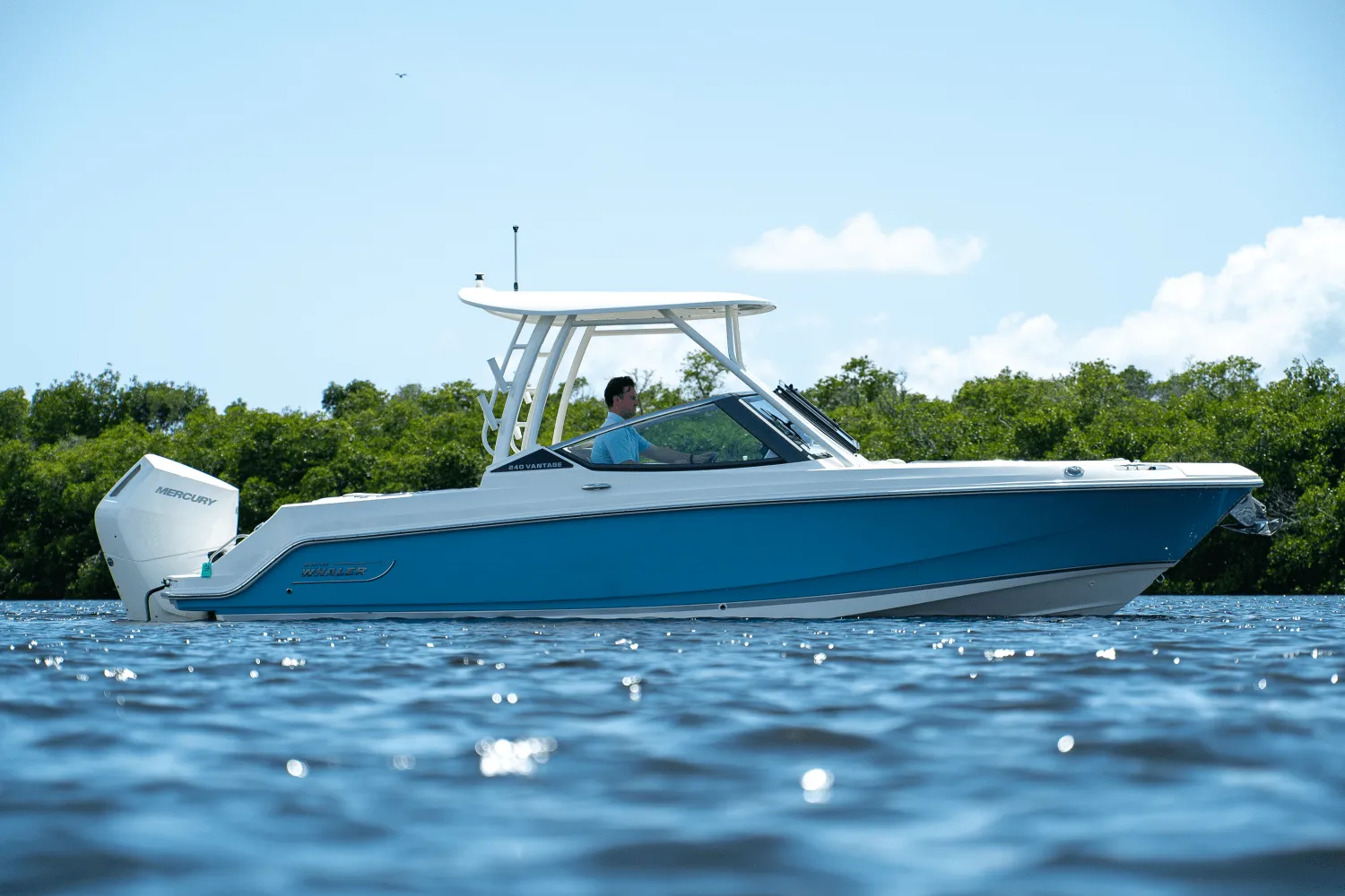 2025 Boston Whaler 240 Vantage Image Thumbnail #24