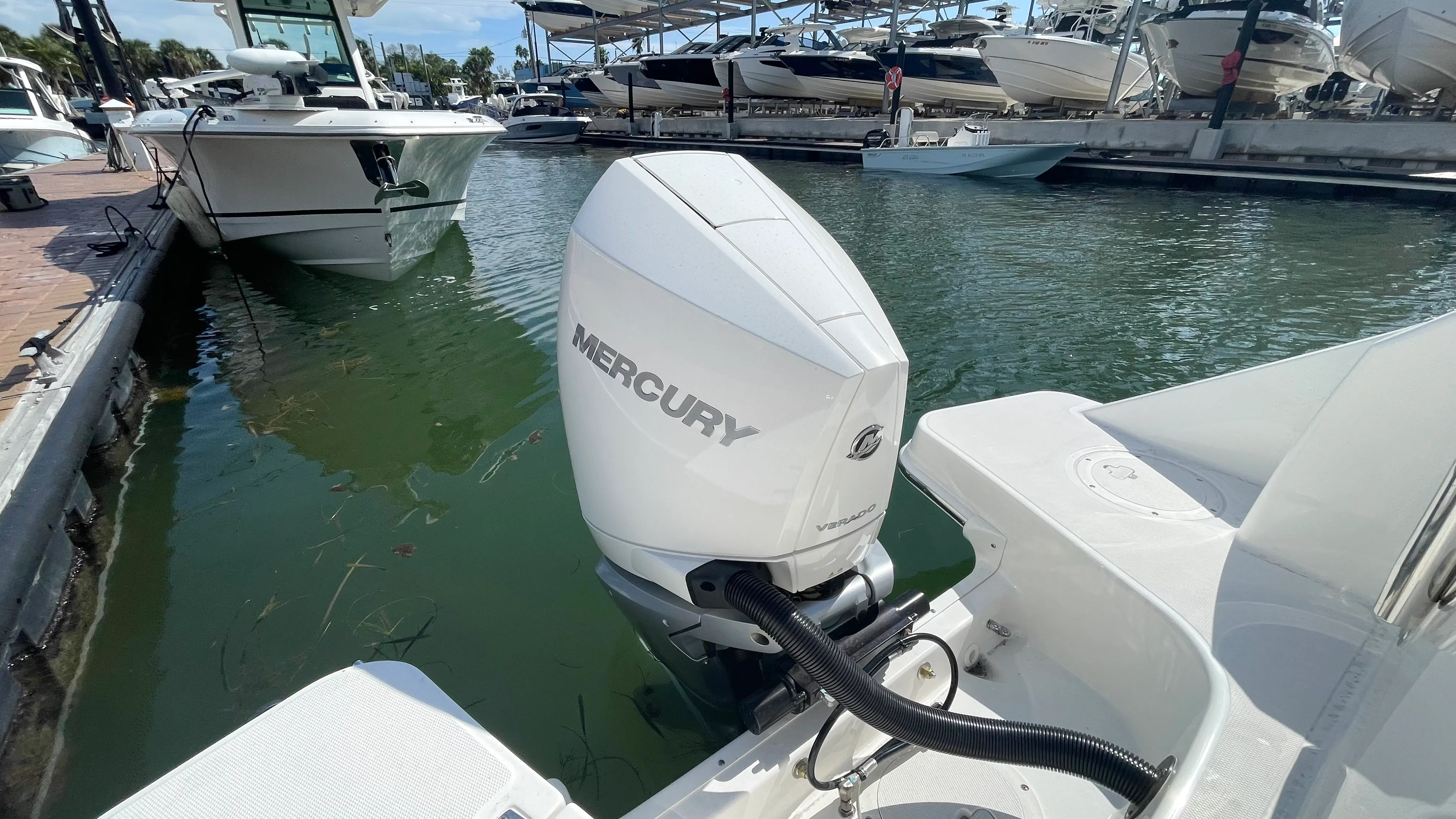 2026 Boston Whaler 240 Vantage Image Thumbnail #26