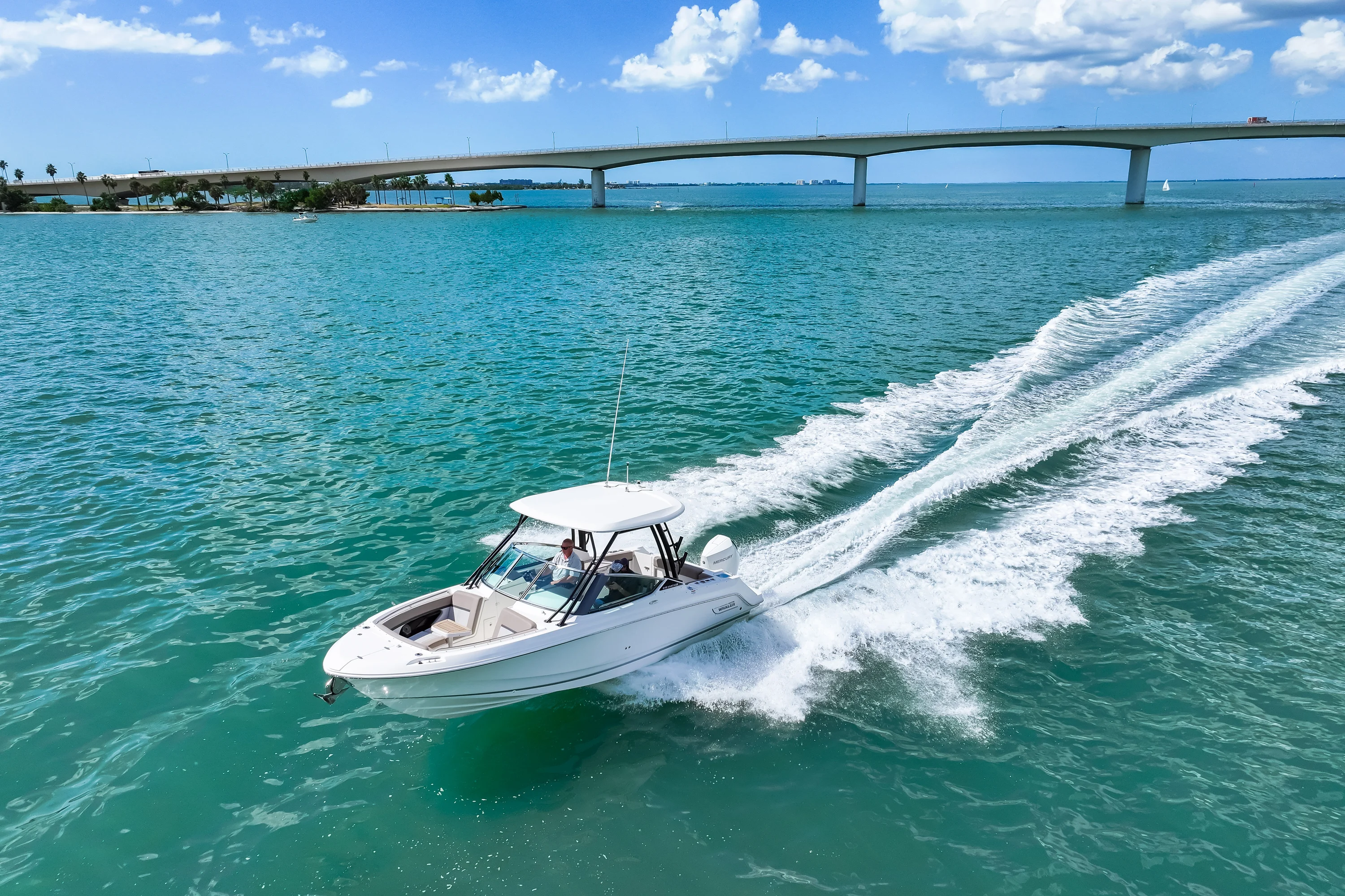 2026 Boston Whaler 240 Vantage Image Thumbnail #12