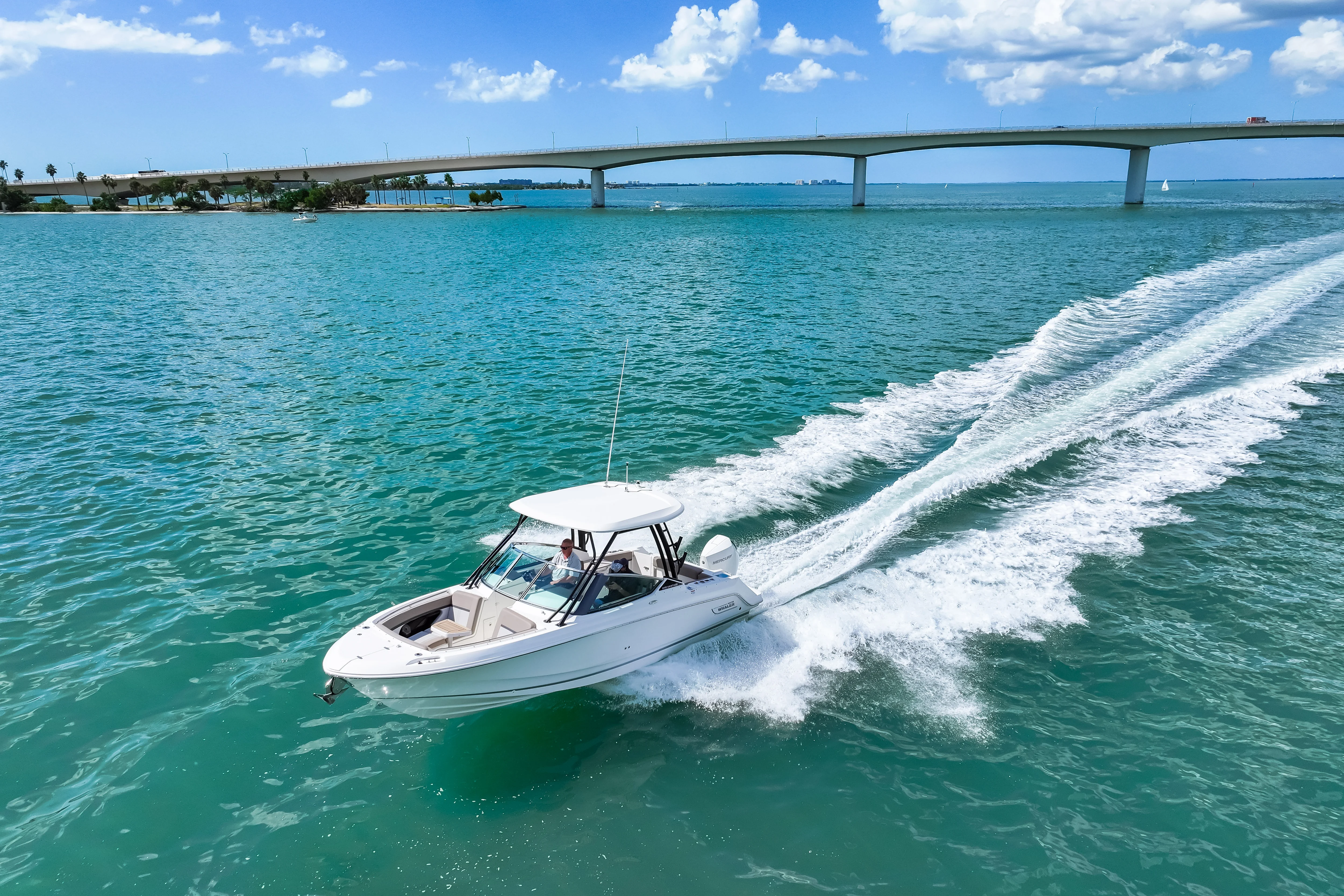 2026 Boston Whaler 240 Vantage Image Thumbnail #12