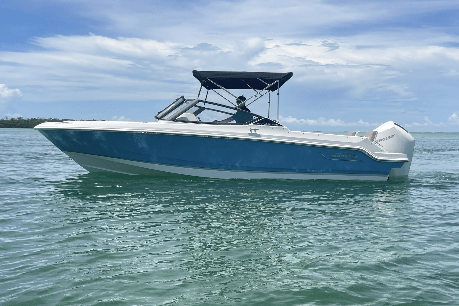 2025 Boston Whaler 210 Vantage Image Thumbnail #8
