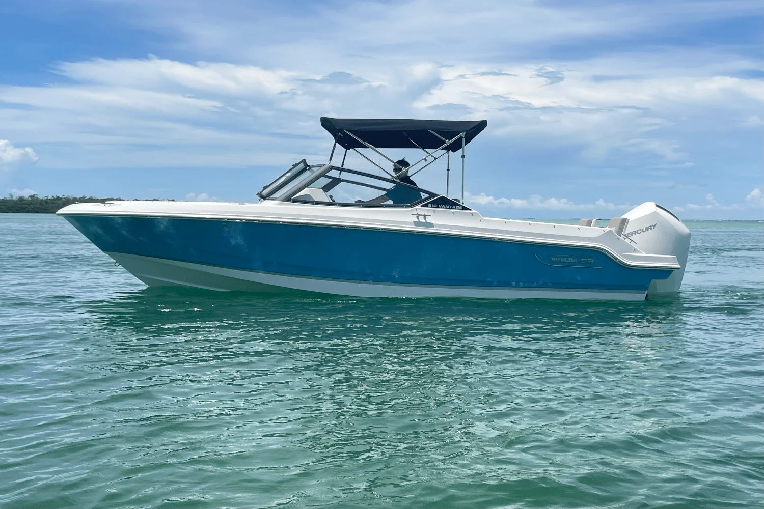 2025 Boston Whaler 210 Vantage Image Thumbnail #8