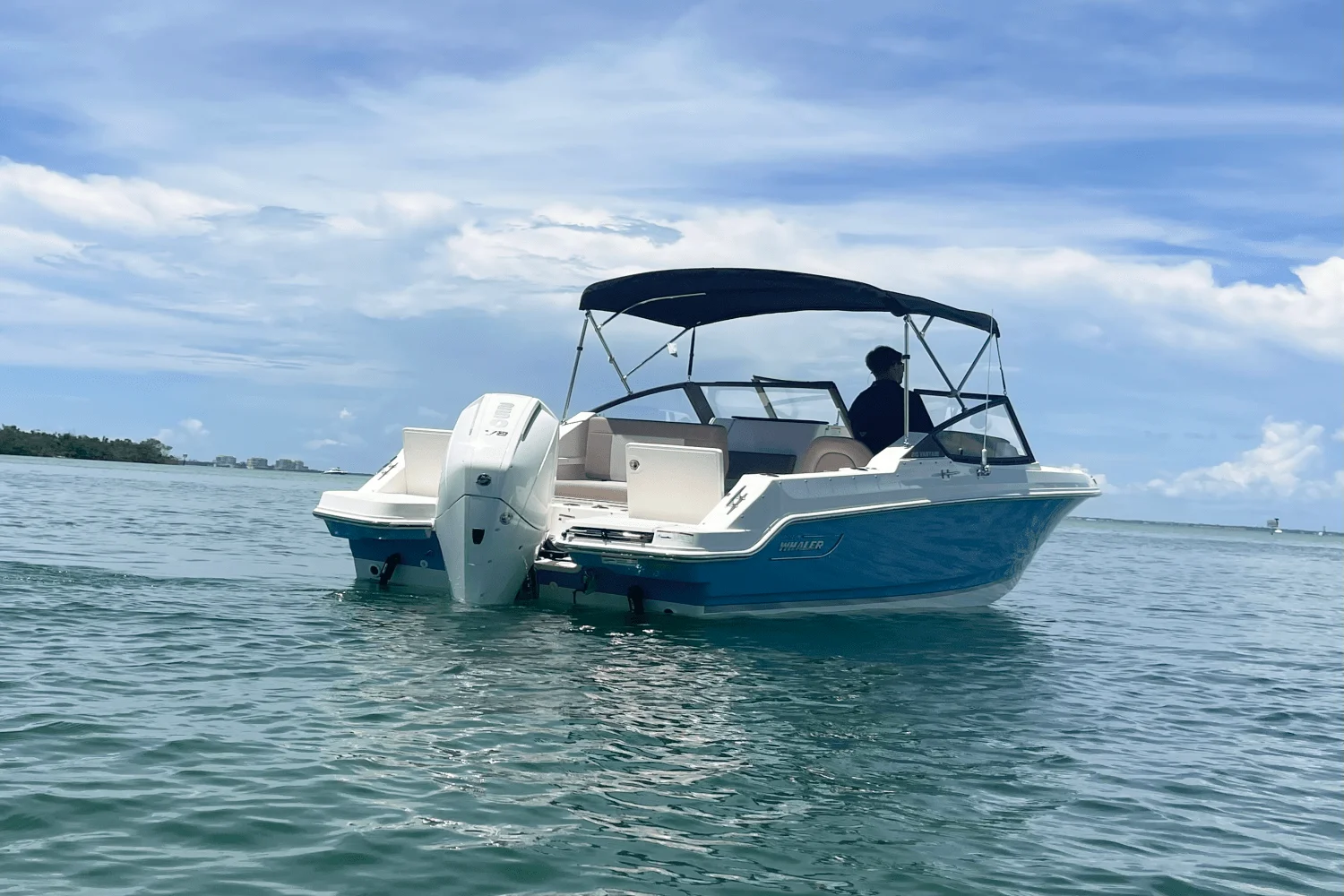 2025 Boston Whaler 210 Vantage Image Thumbnail #3