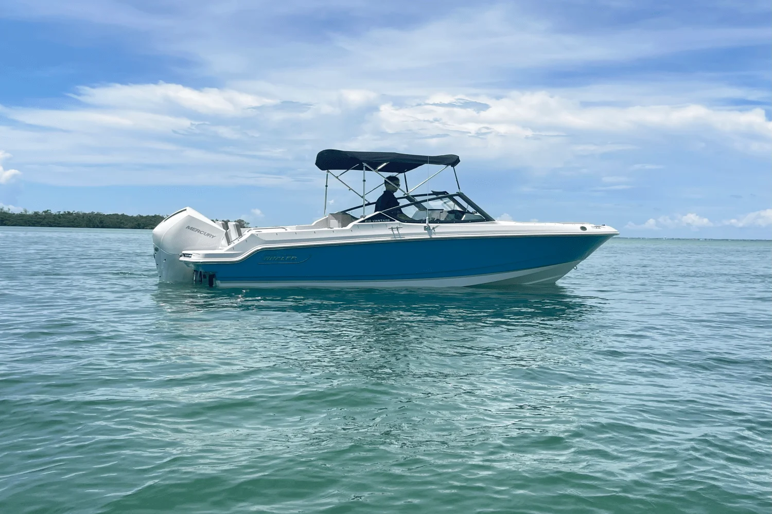 2025 Boston Whaler 210 Vantage Image Thumbnail #0