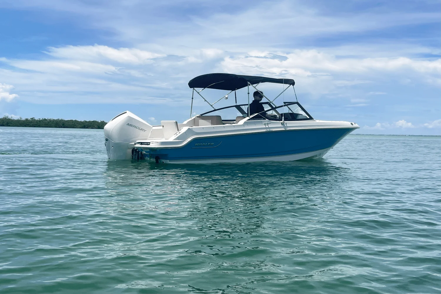 2025 Boston Whaler 210 Vantage Image Thumbnail #1
