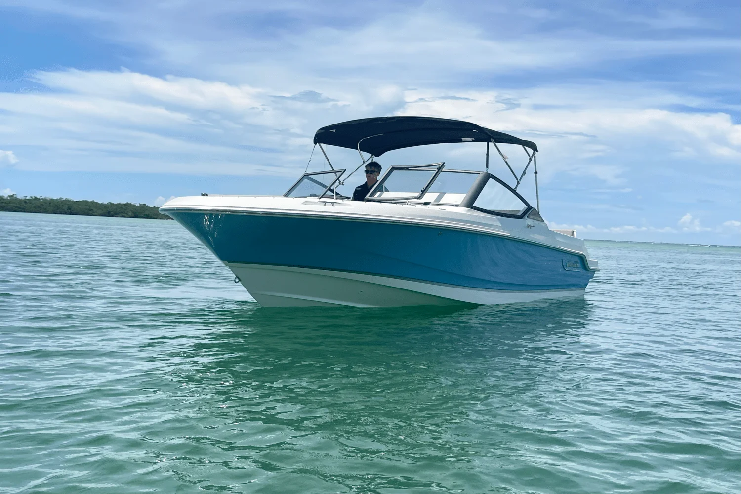 2025 Boston Whaler 210 Vantage Image Thumbnail #10