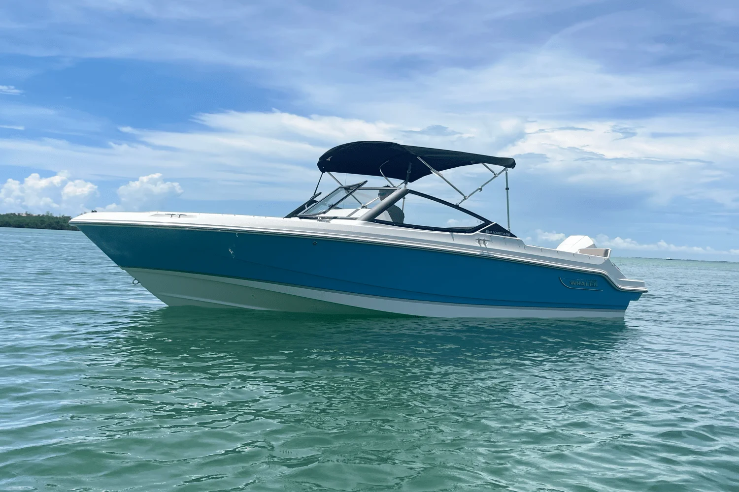 2025 Boston Whaler 210 Vantage Image Thumbnail #9