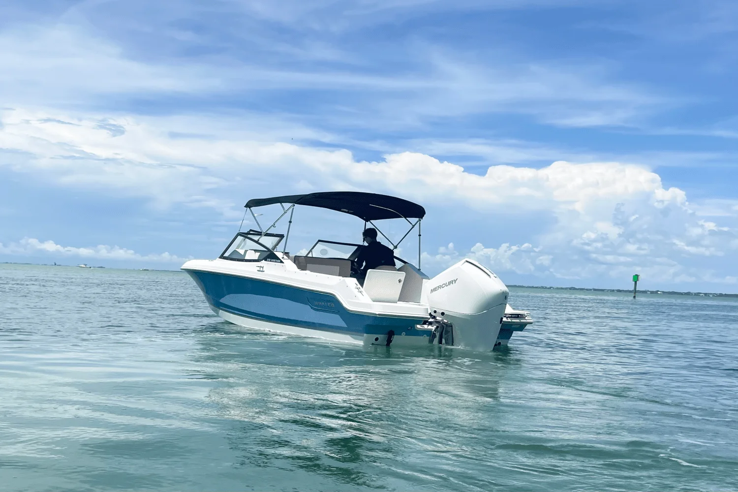 2025 Boston Whaler 210 Vantage Image Thumbnail #6