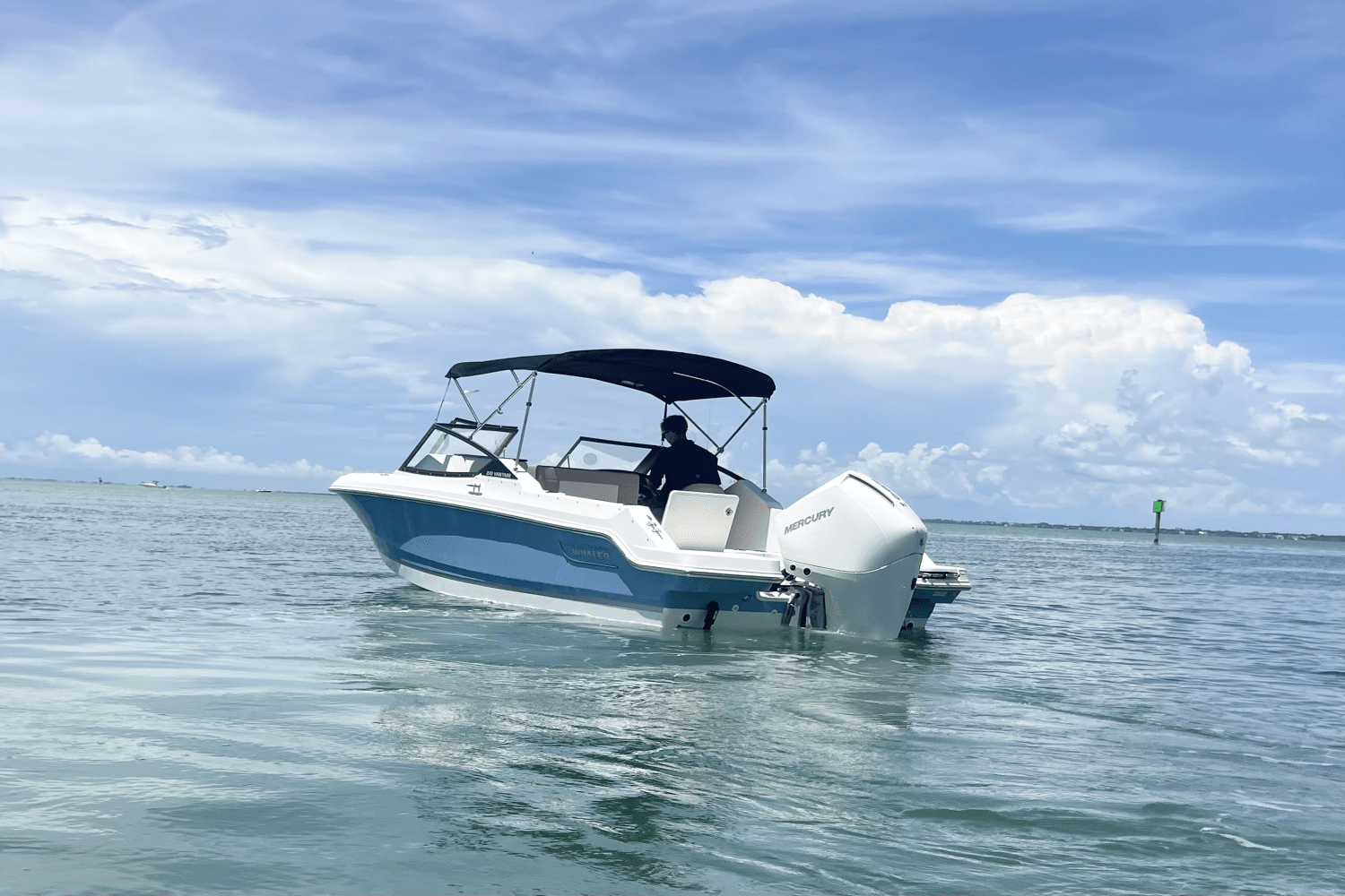 2025 Boston Whaler 210 Vantage Image Thumbnail #6