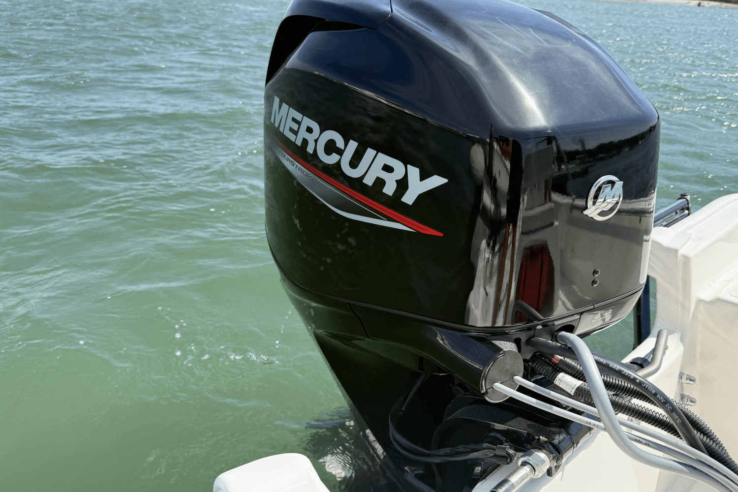 2025 Boston Whaler 150 Montauk Image Thumbnail #5
