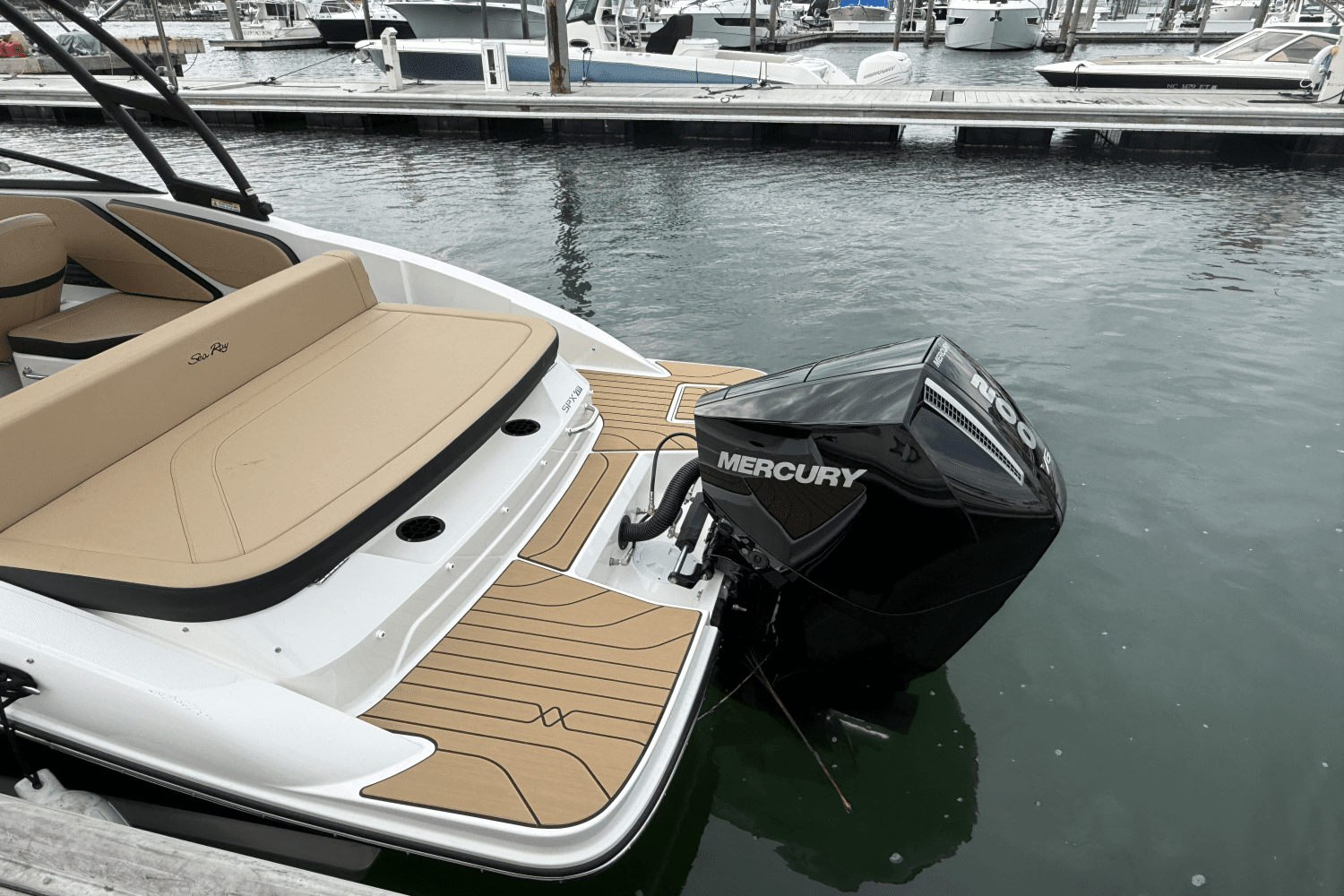 2025 Sea Ray SPX 210 Outboard Image Thumbnail #19