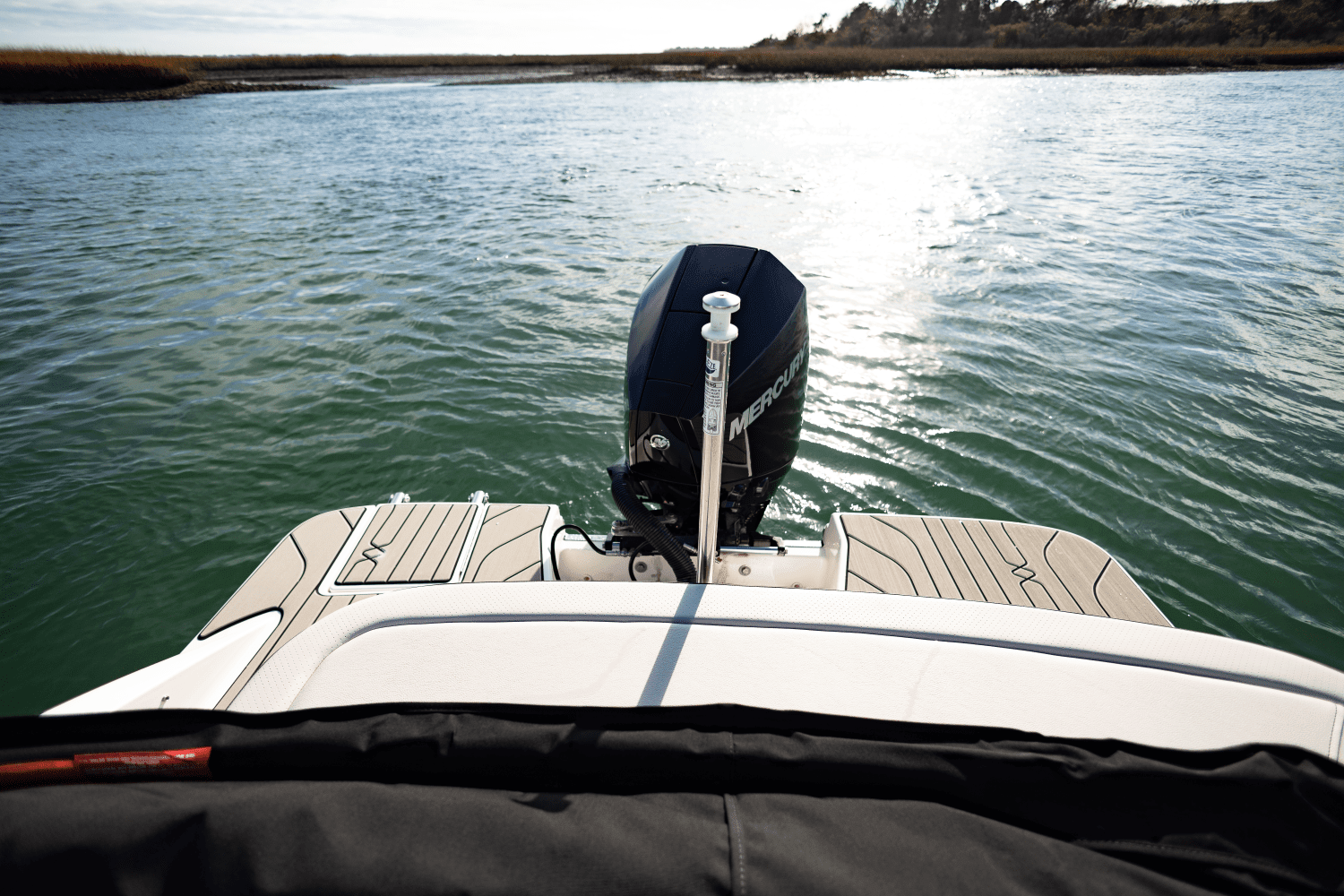 2025 Sea Ray SPX 210 Outboard Image Thumbnail #12