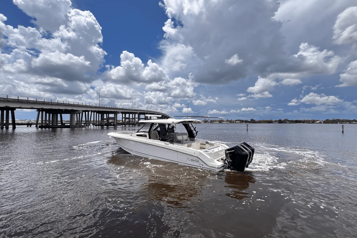 2025 Boston Whaler 350 Realm Image Thumbnail #4