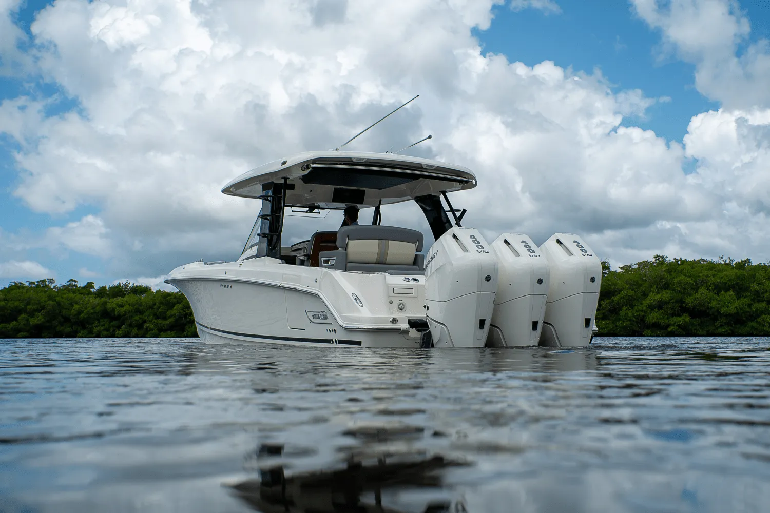 2025 Boston Whaler 350 Realm Image Thumbnail #43