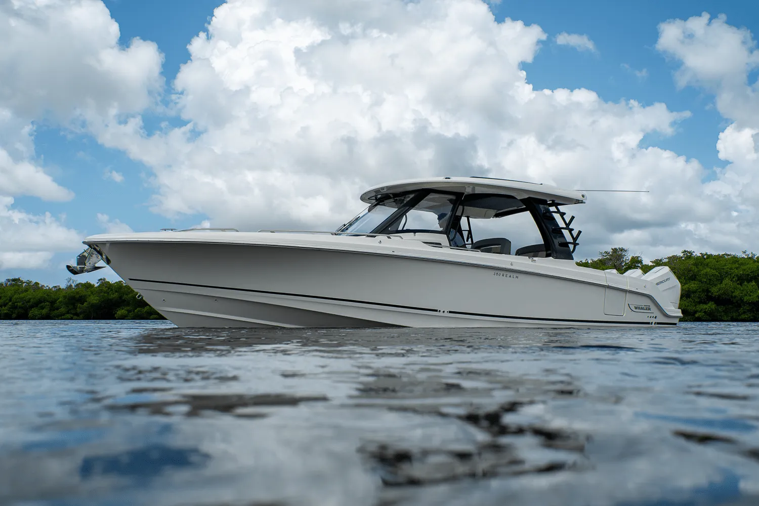 2025 Boston Whaler 350 Realm Image Thumbnail #38