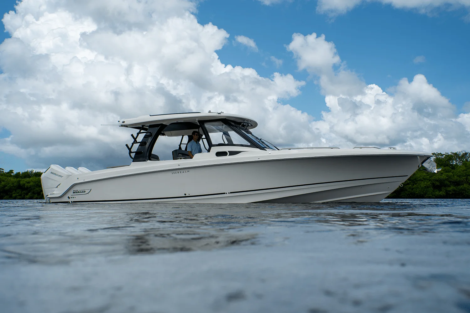 2025 Boston Whaler 350 Realm Image Thumbnail #34