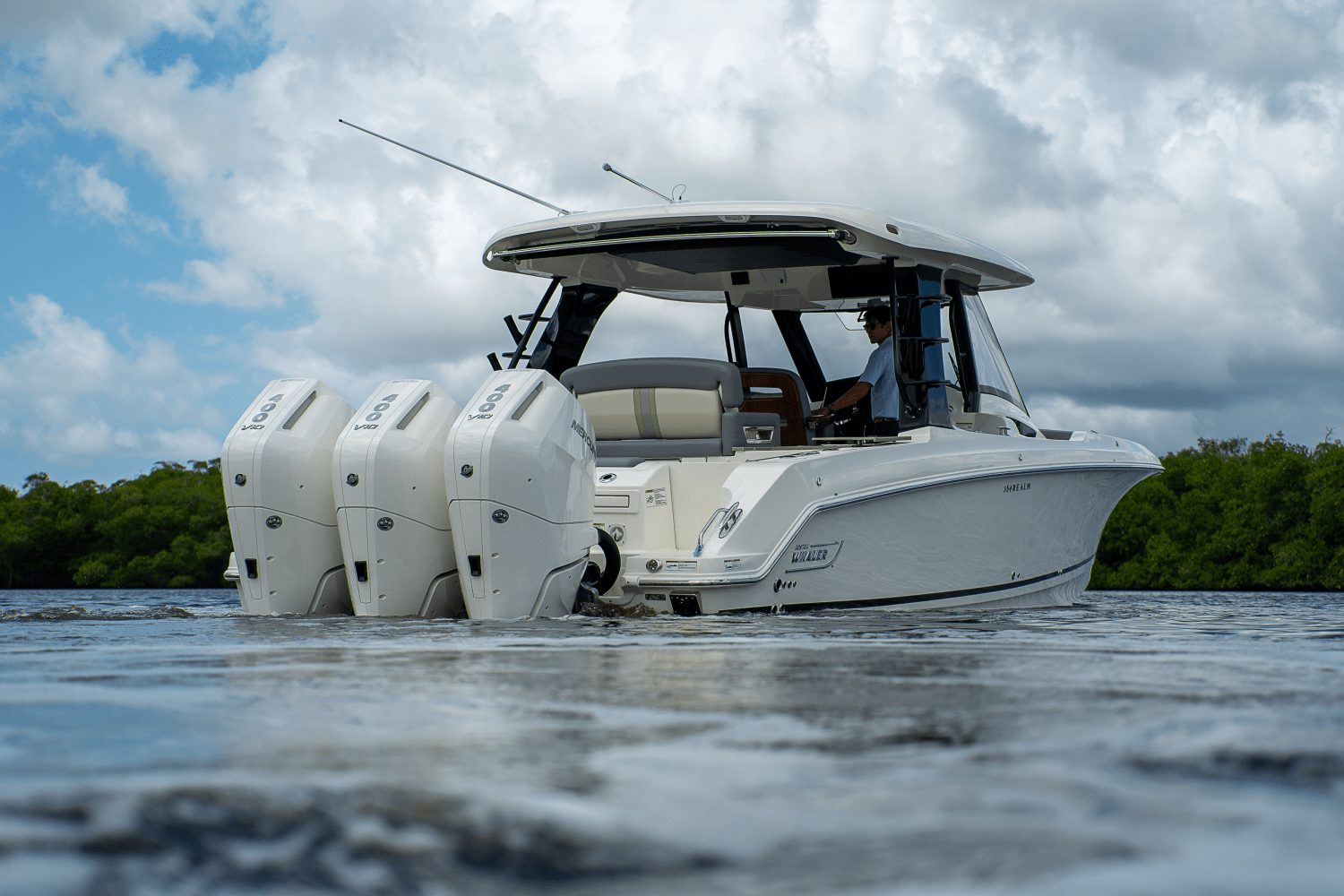 2025 Boston Whaler 350 Realm Image Thumbnail #31