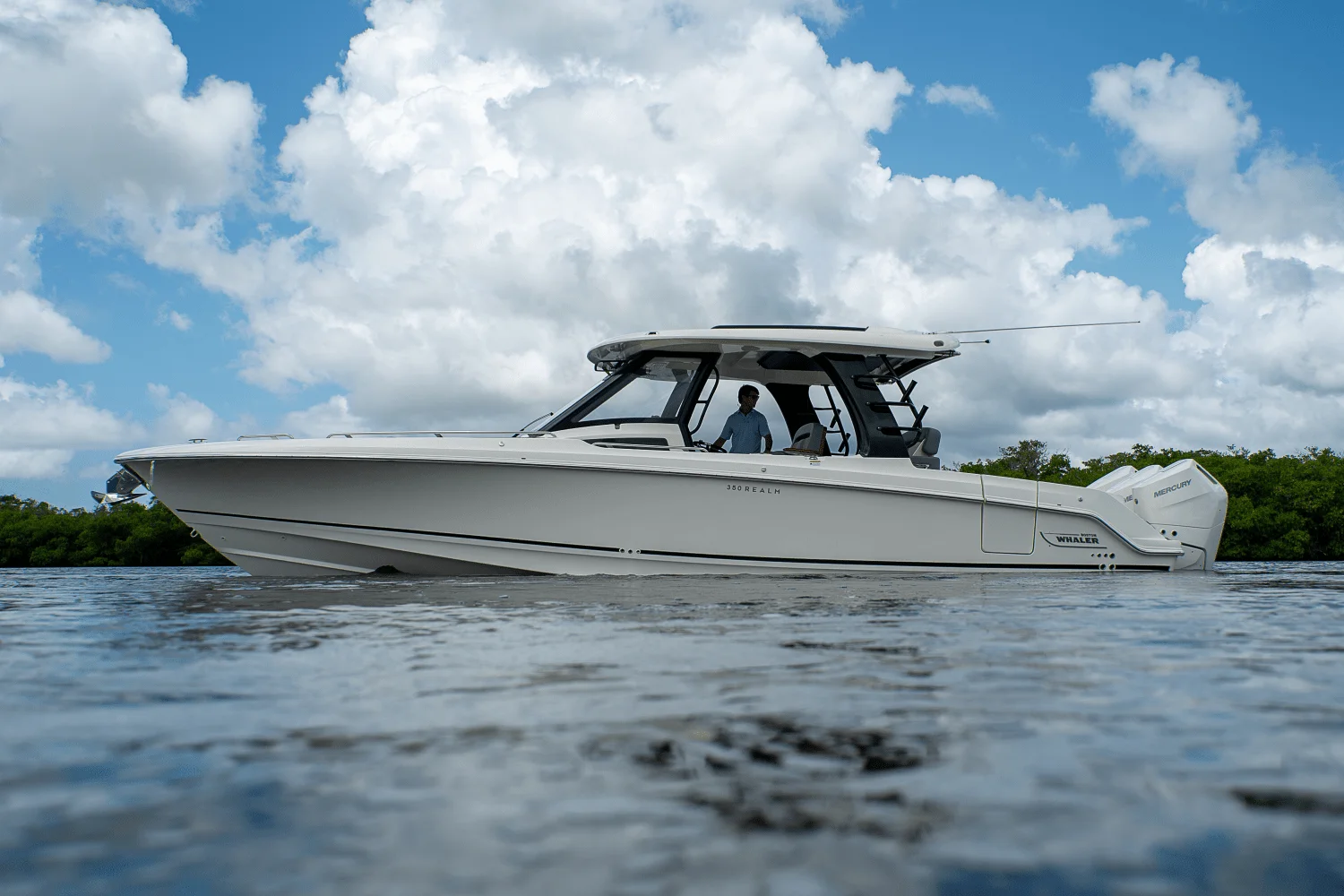 2025 Boston Whaler 350 Realm Image Thumbnail #39