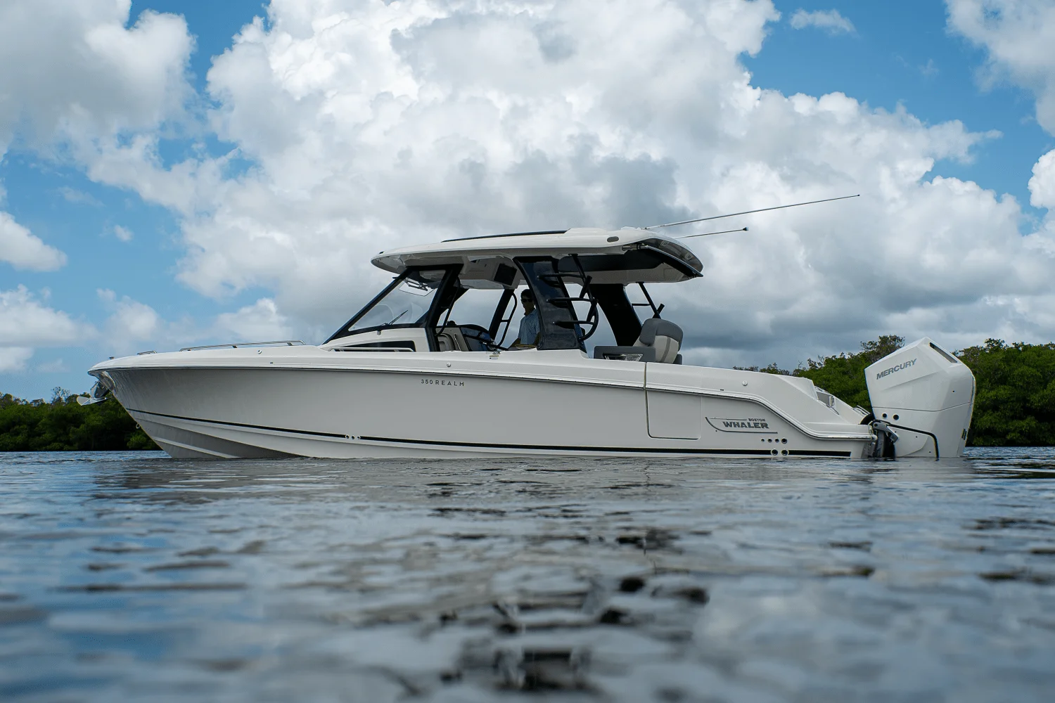 2025 Boston Whaler 350 Realm Image Thumbnail #41